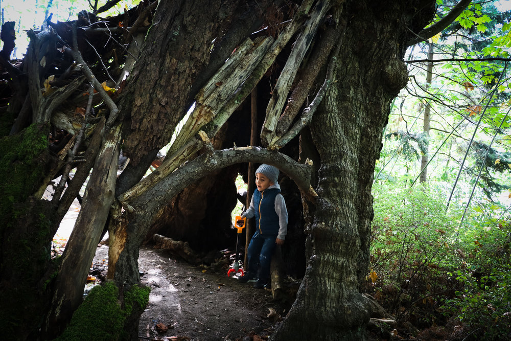 ADVENTURES - A HIKING WE WILL GO — All Kids Are Gifted