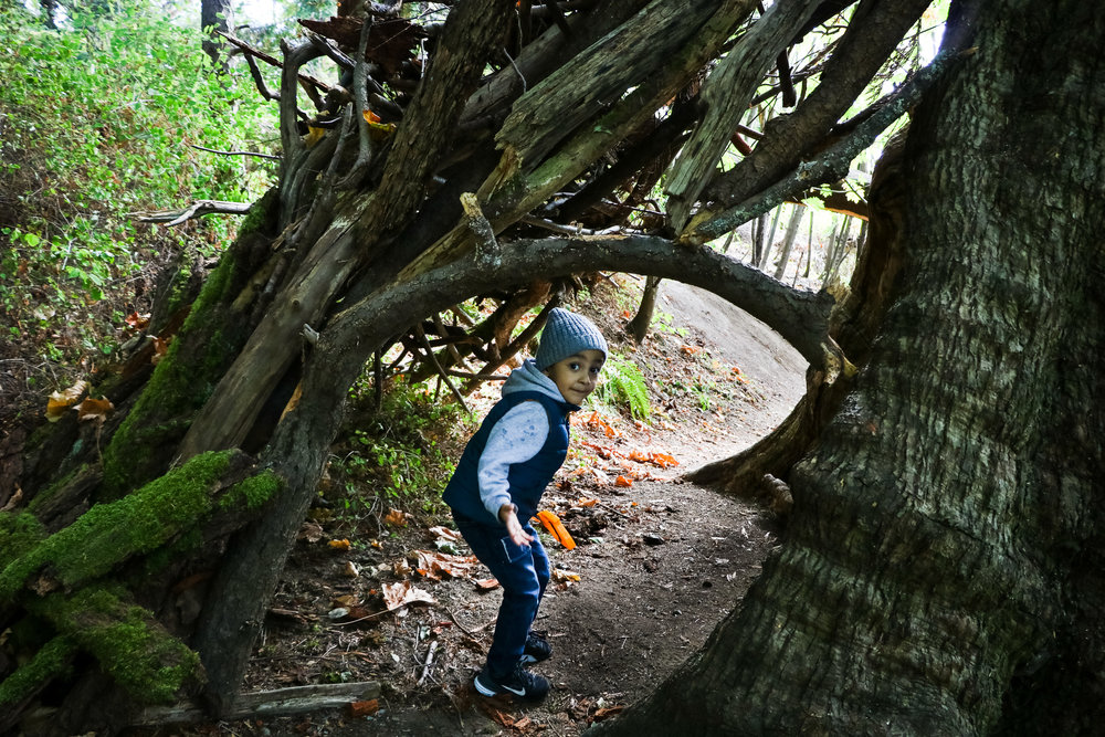 ADVENTURES - A HIKING WE WILL GO — All Kids Are Gifted