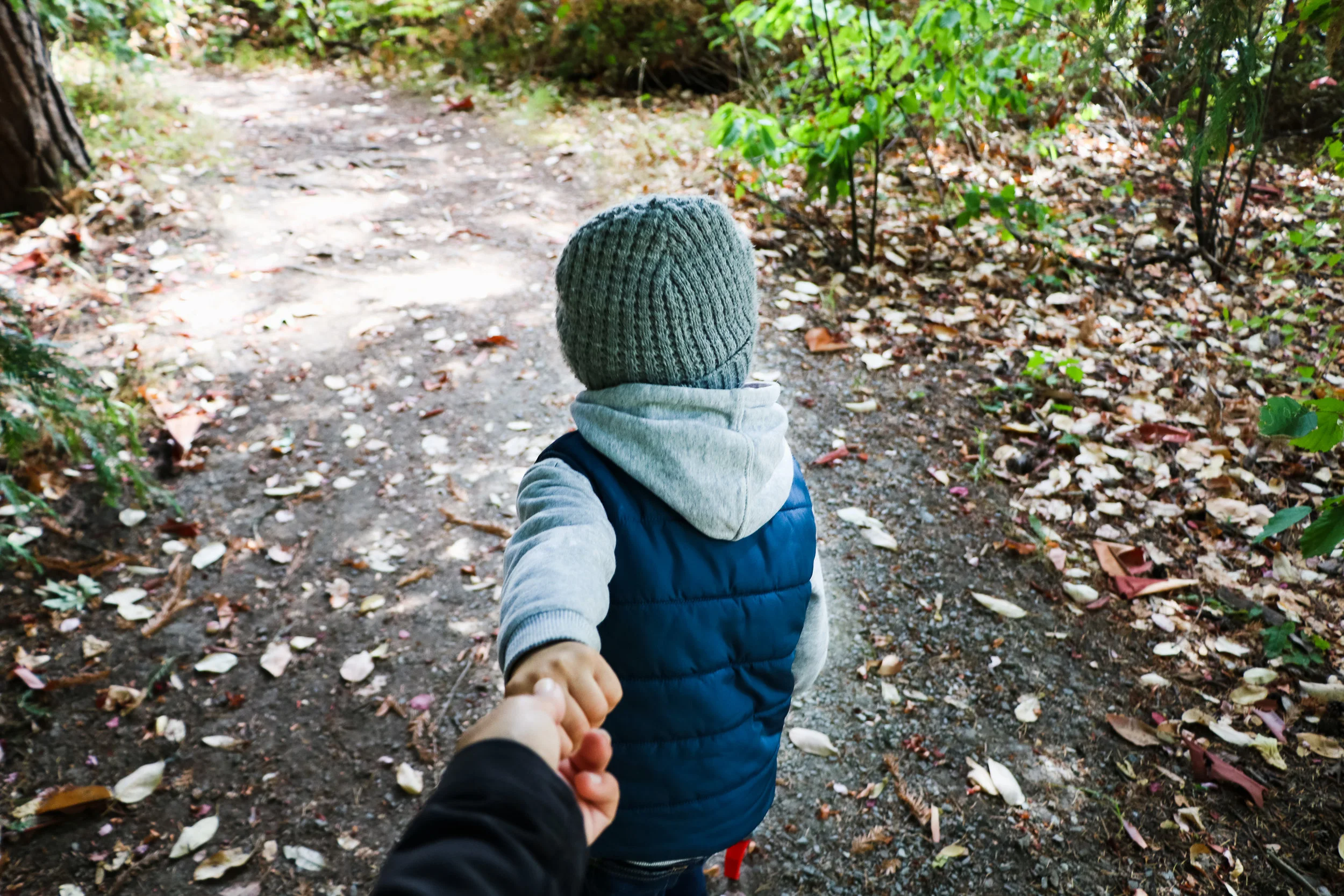 A HIKING WE WILL GO 🌲