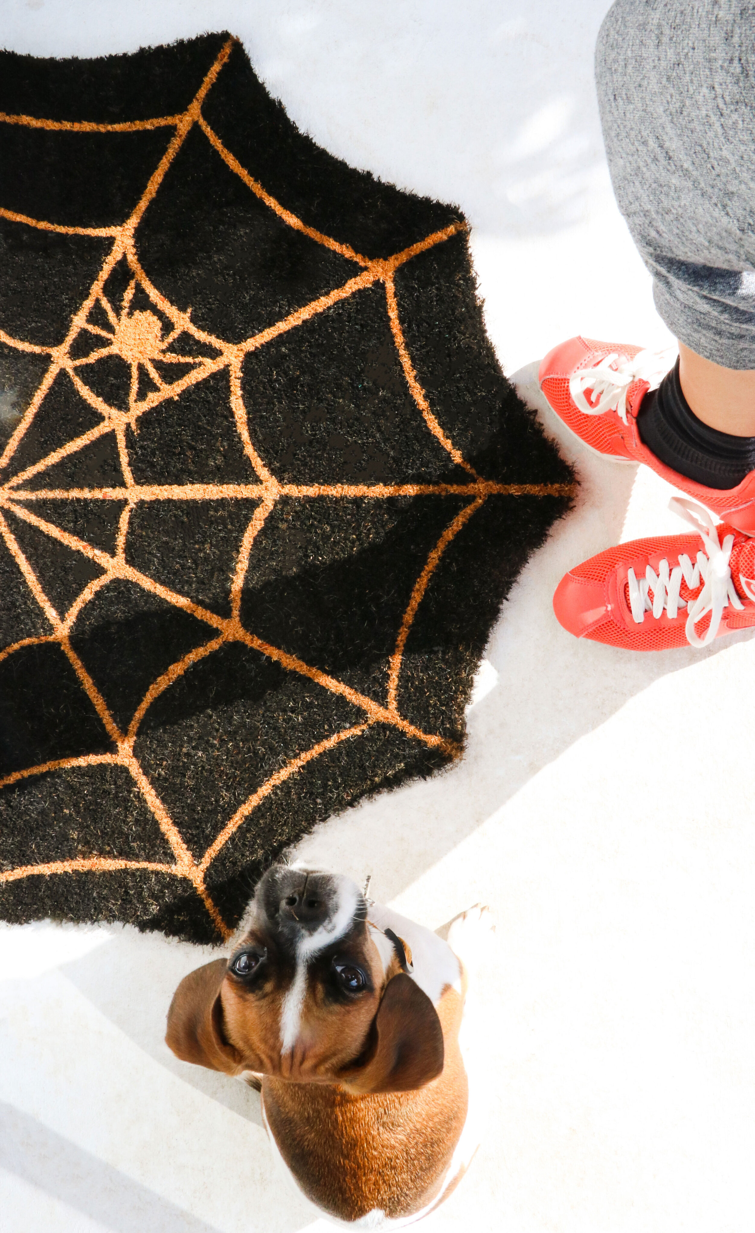 DIY Projects - GETTING READY FOR HALLOWEEN  - All Kids Are Gifted