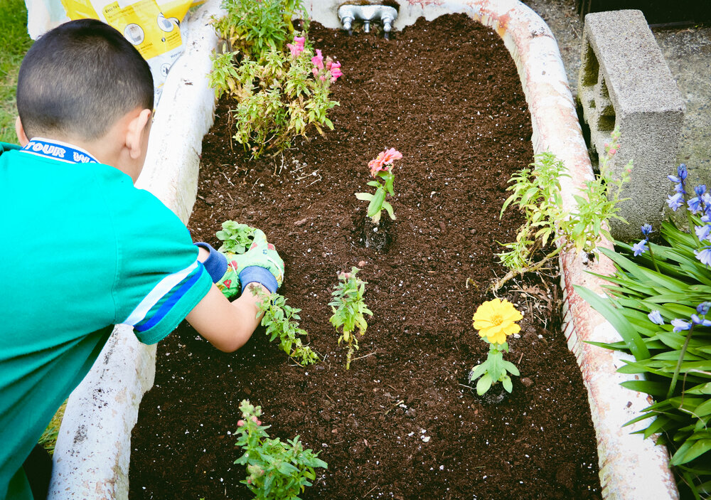 HANGING OUT W.LITTLES: PLANTING FLOWERS -ALL KIDS ARE GIFTED