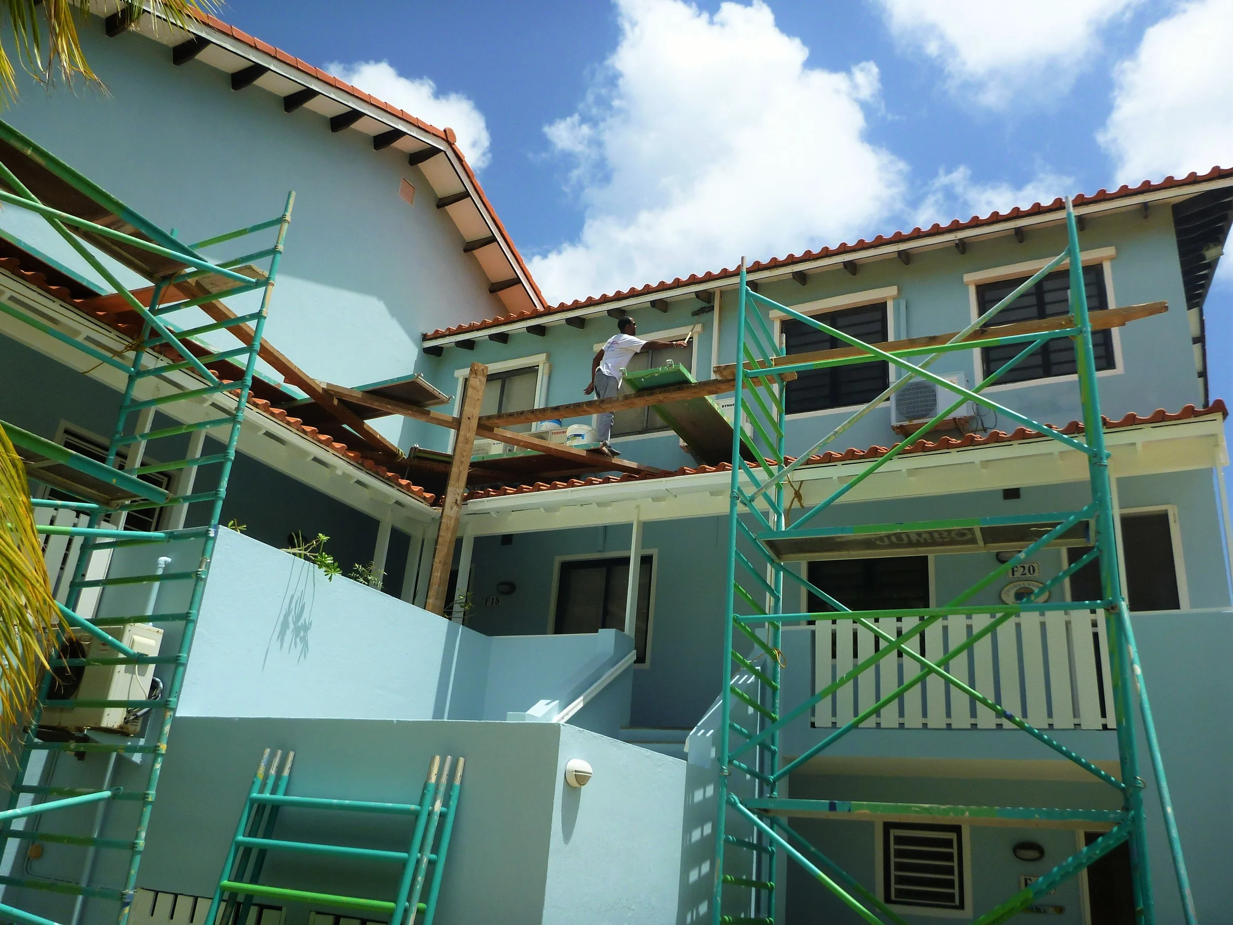 Sand Dollar - Copy.JPG