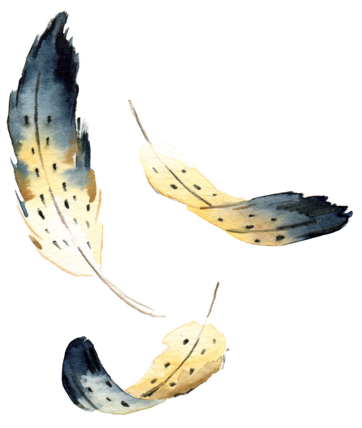 Falling-feathers_Helen-Kellock-illustration.png