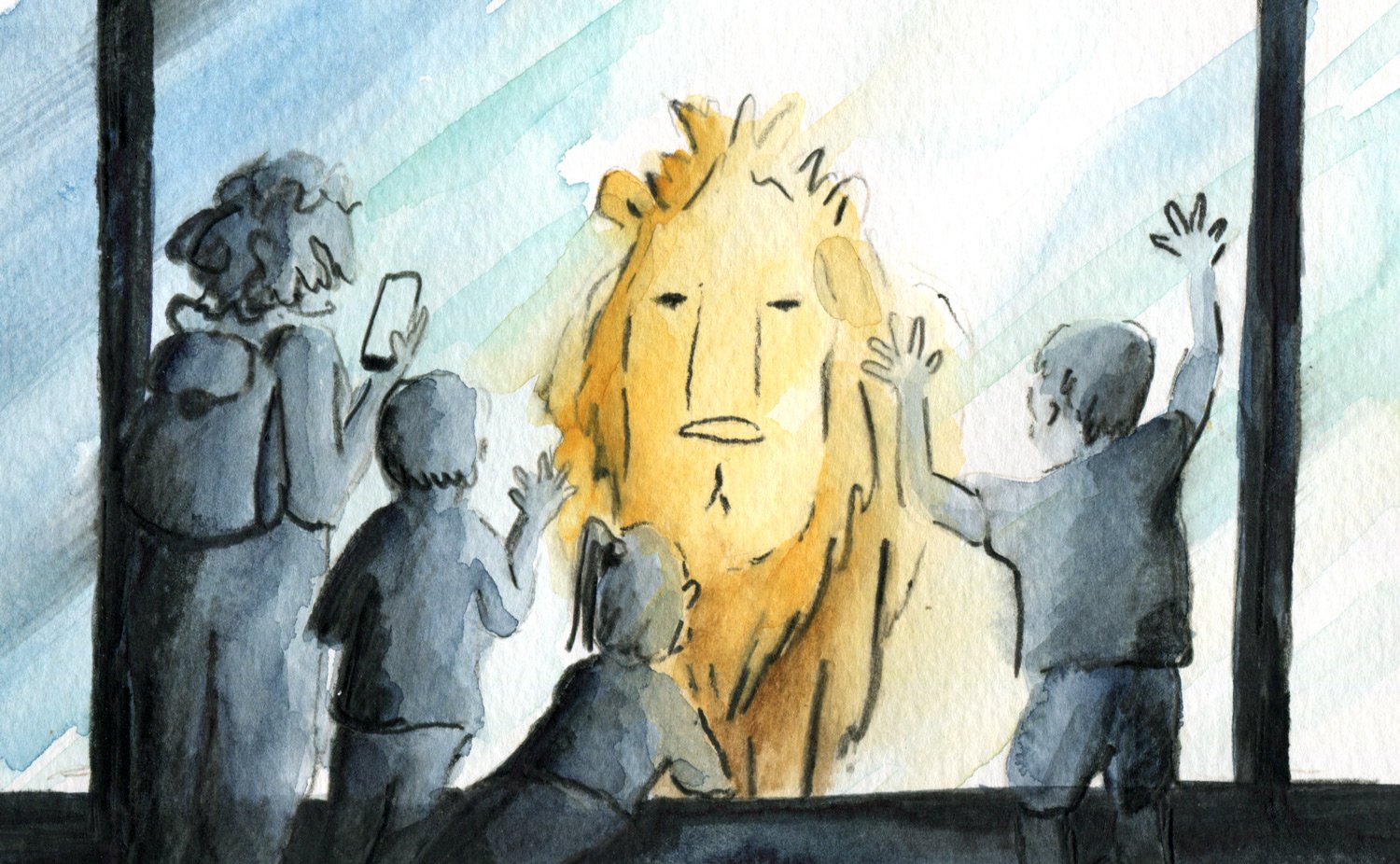8.Lion-at-zoo_Helen-Kellock-illustration.jpg
