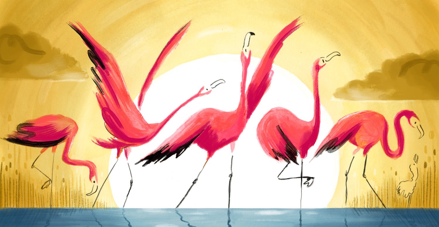 A-flamboyance-of-flamingos_Helen-Kellock_illustration.jpg