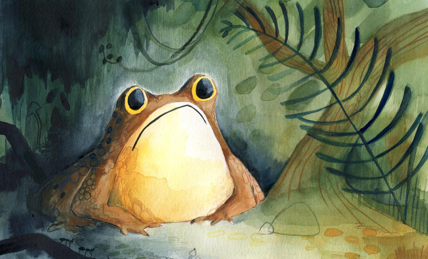Grumpy-toad_Helen-Kellock-illustration.jpg