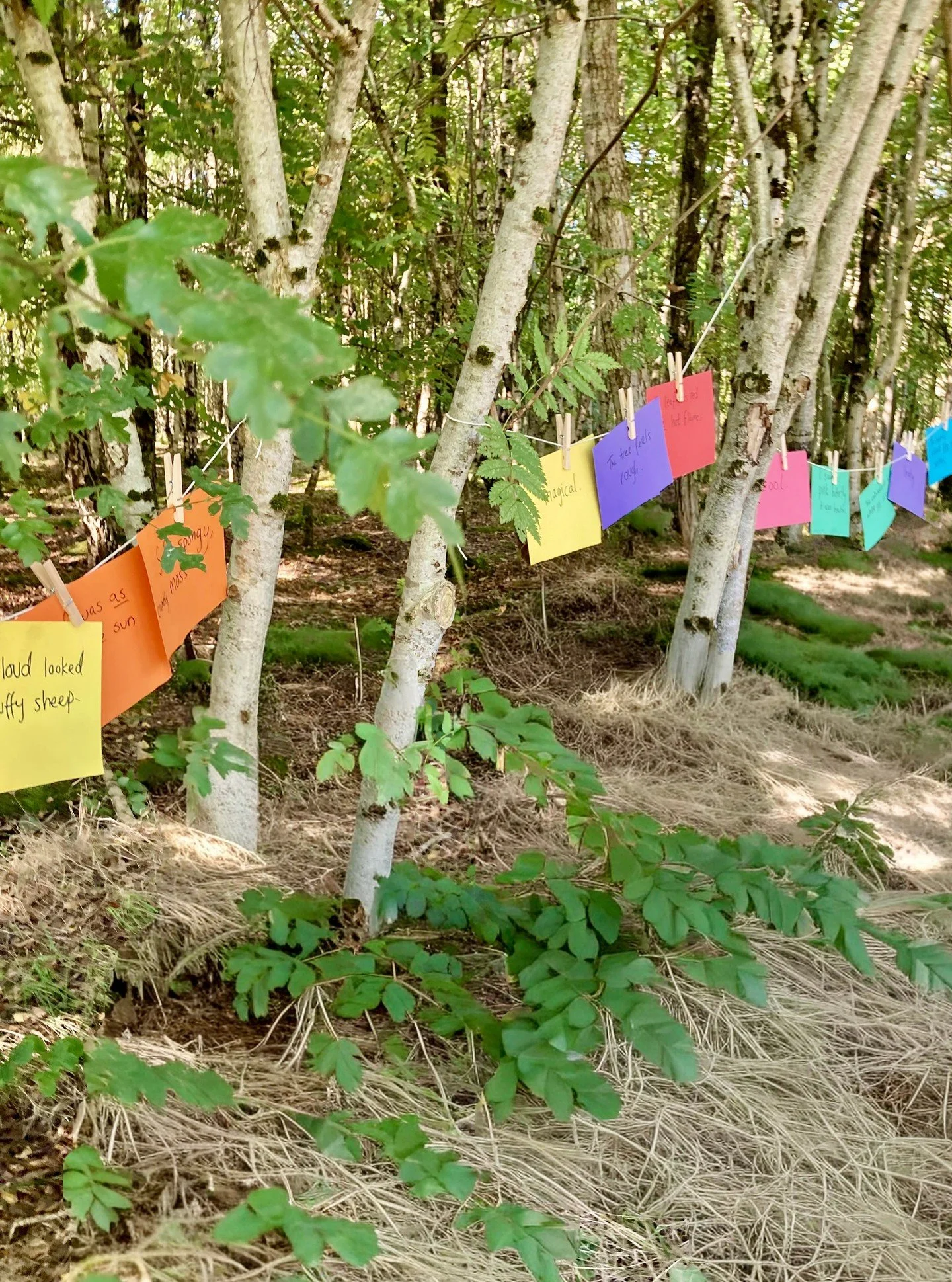 I am currently working with a brilliant group of P2s at Cranhill Primary school in the east end of Glasgow as part of the @scottishbooktrust author in residency programme. We're keen to get the kids outside engaging with nature as much as we can thro