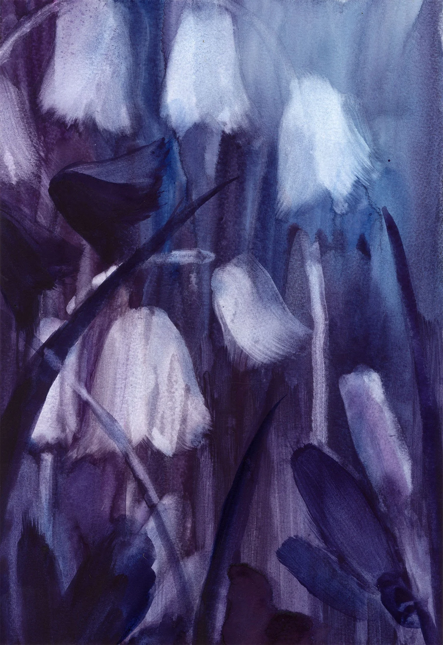 Bluebells_for web_Helen Kellock.jpg