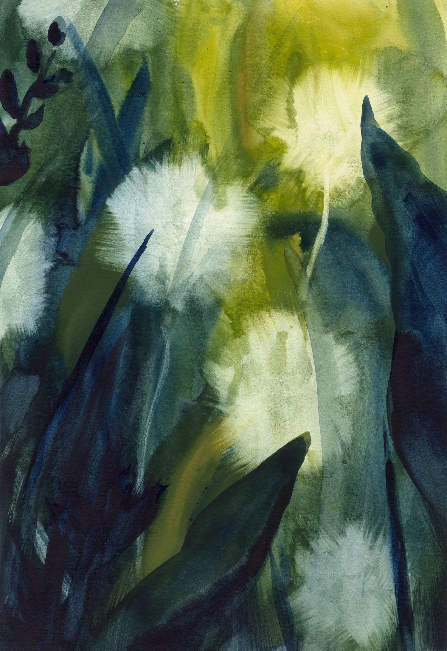 Dandelion_for web_Helen Kellock.jpg