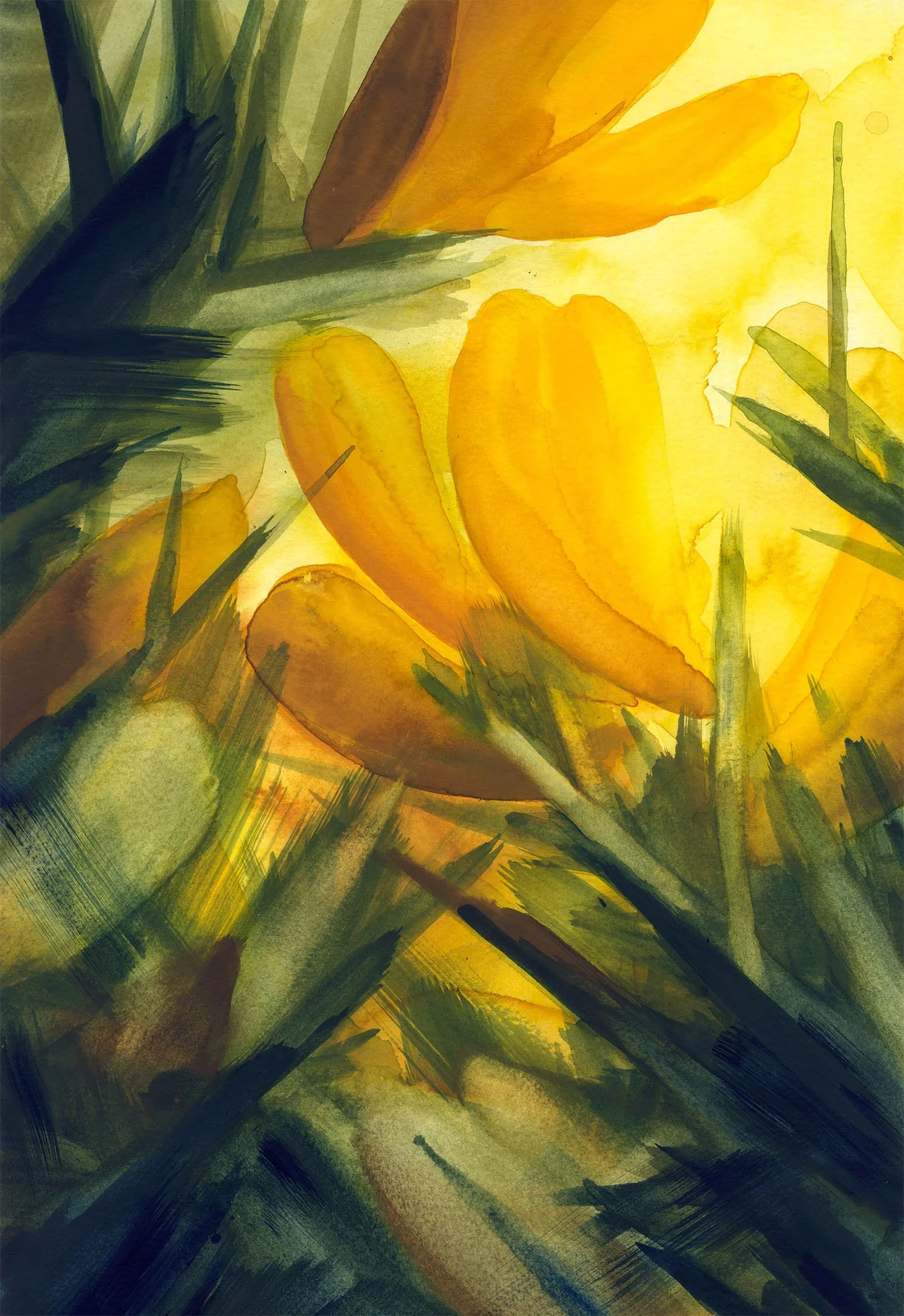 Gorse_for web_Helen Kellock 2.jpg