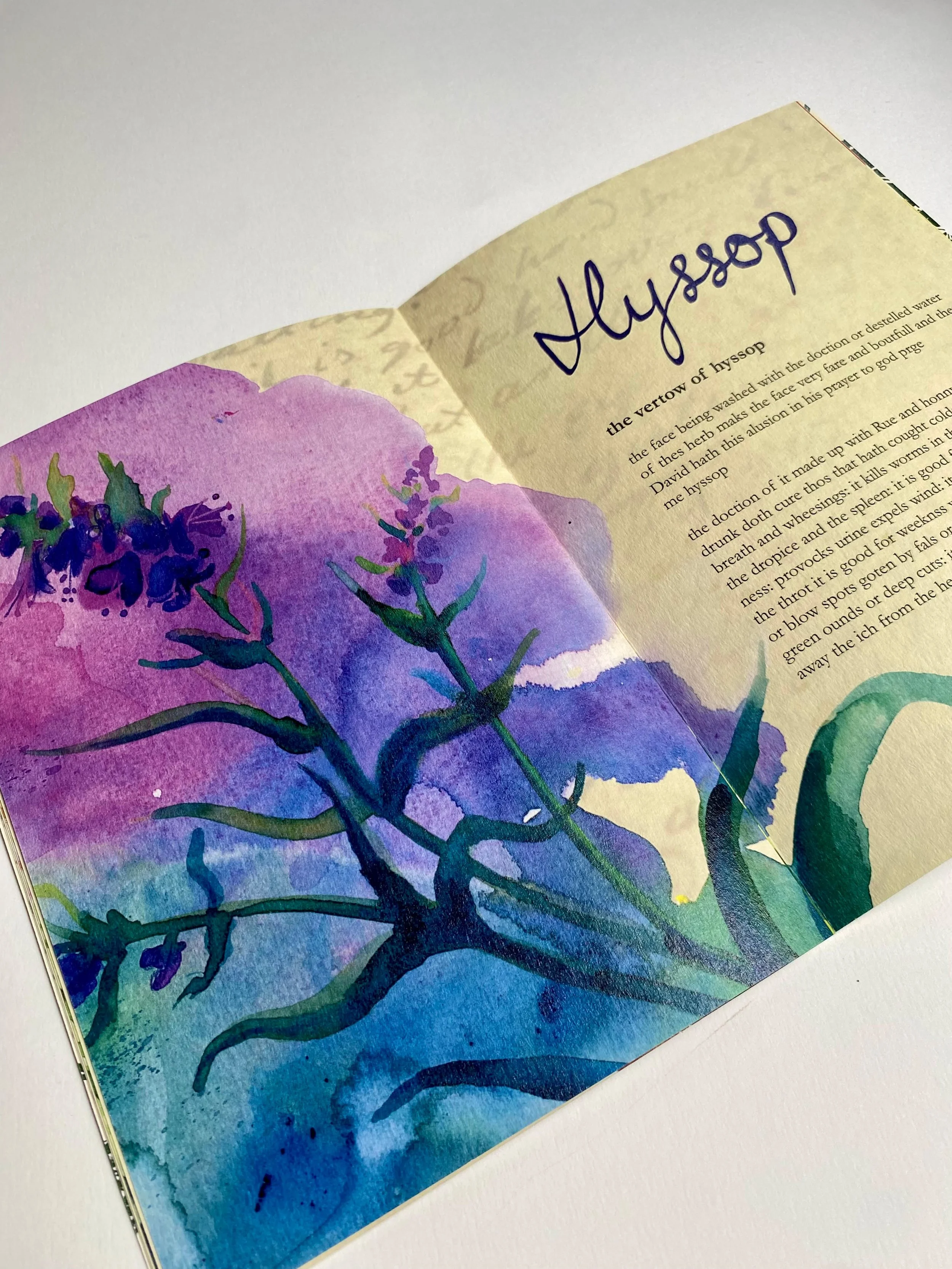 I have had the lovely job of working on the Royal College of Physicians and Surgeons of Glasgow&rsquo;s latest exhibition, Dear Green Places: Nature and Our Health - opening to the public this Sunday. The exhibition explores how we have been harnessi