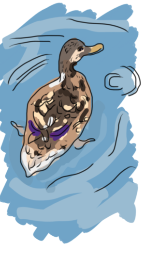 File_000(1).png