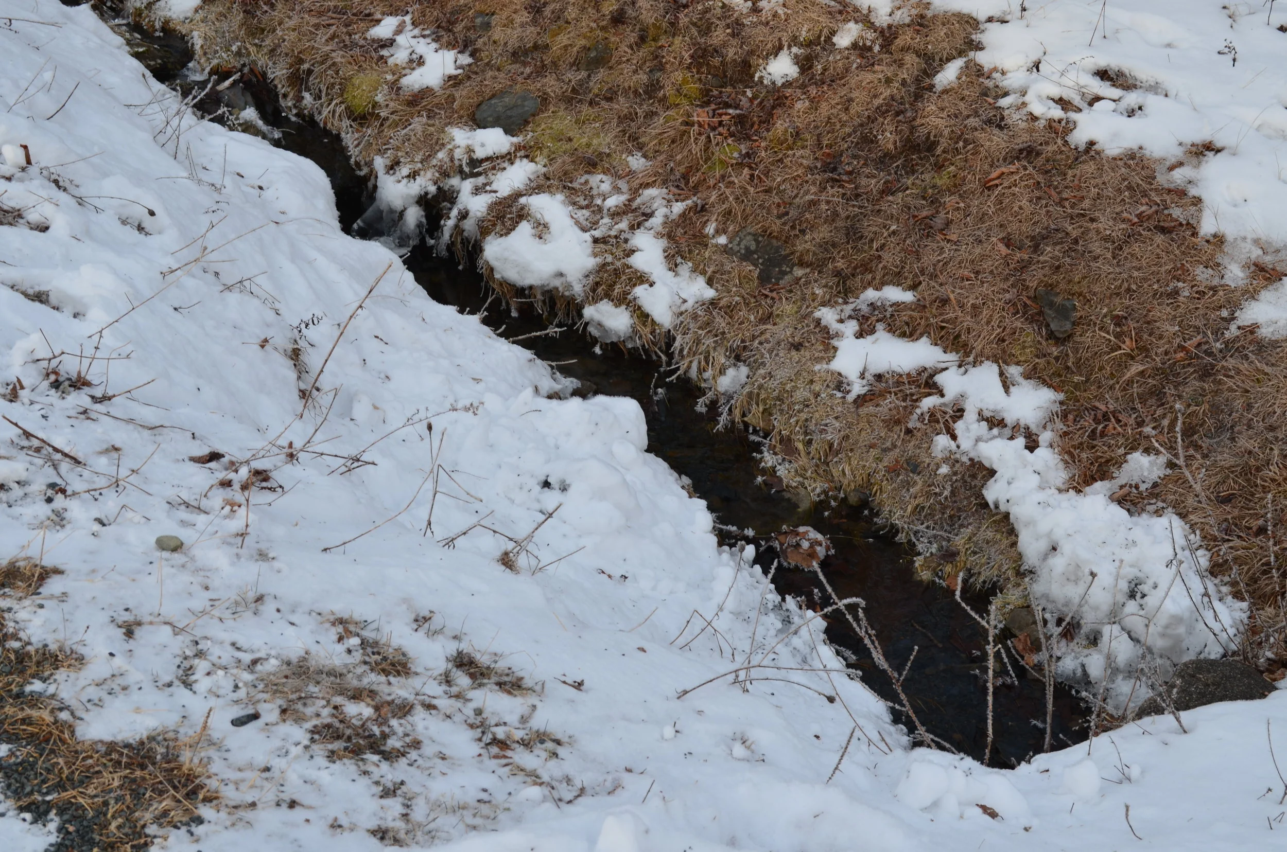 DSC_0068.JPG