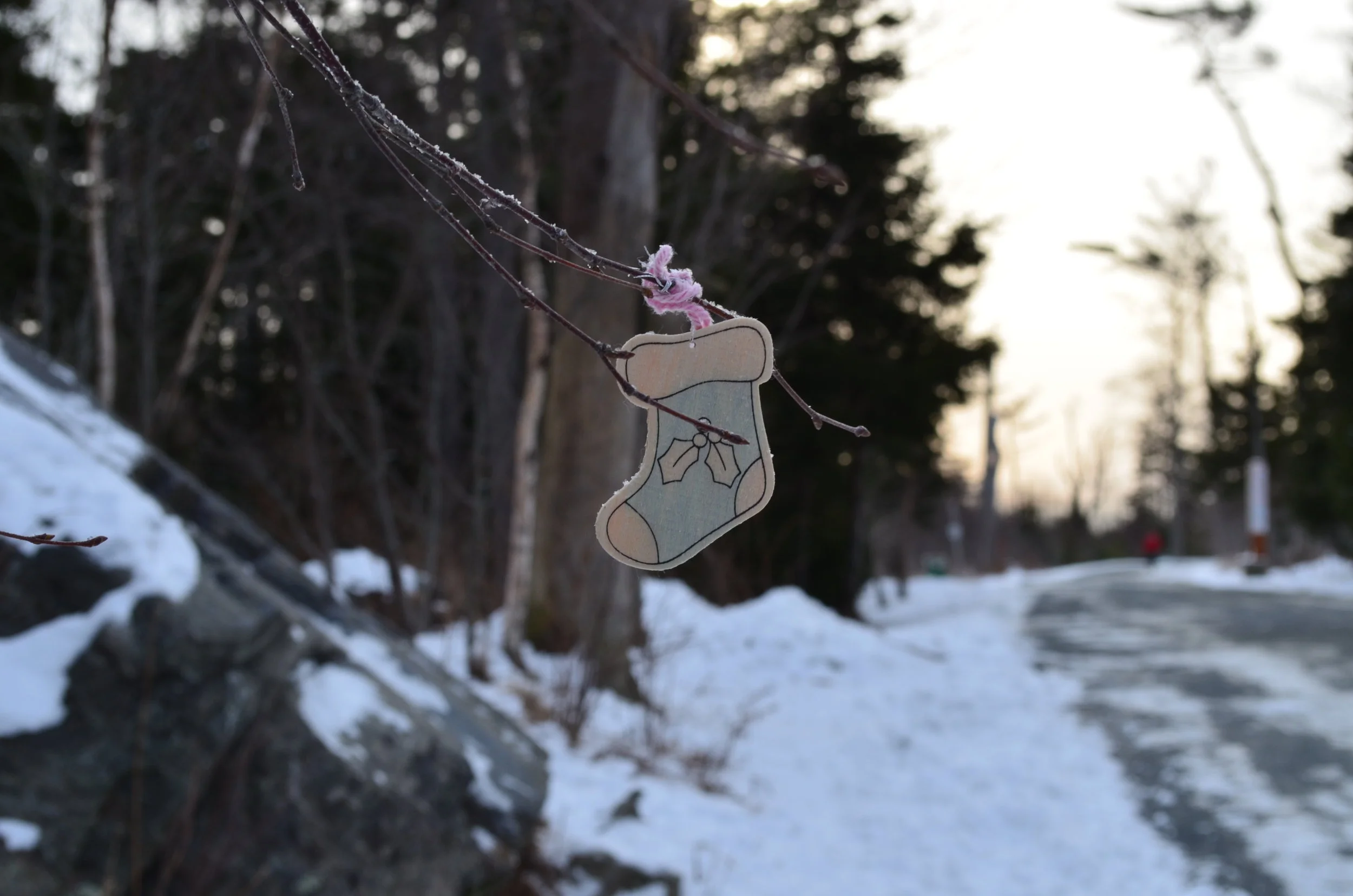 DSC_0111.JPG