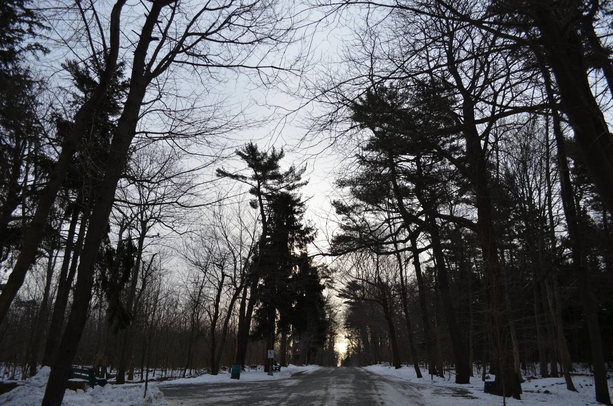 DSC_0138.JPG