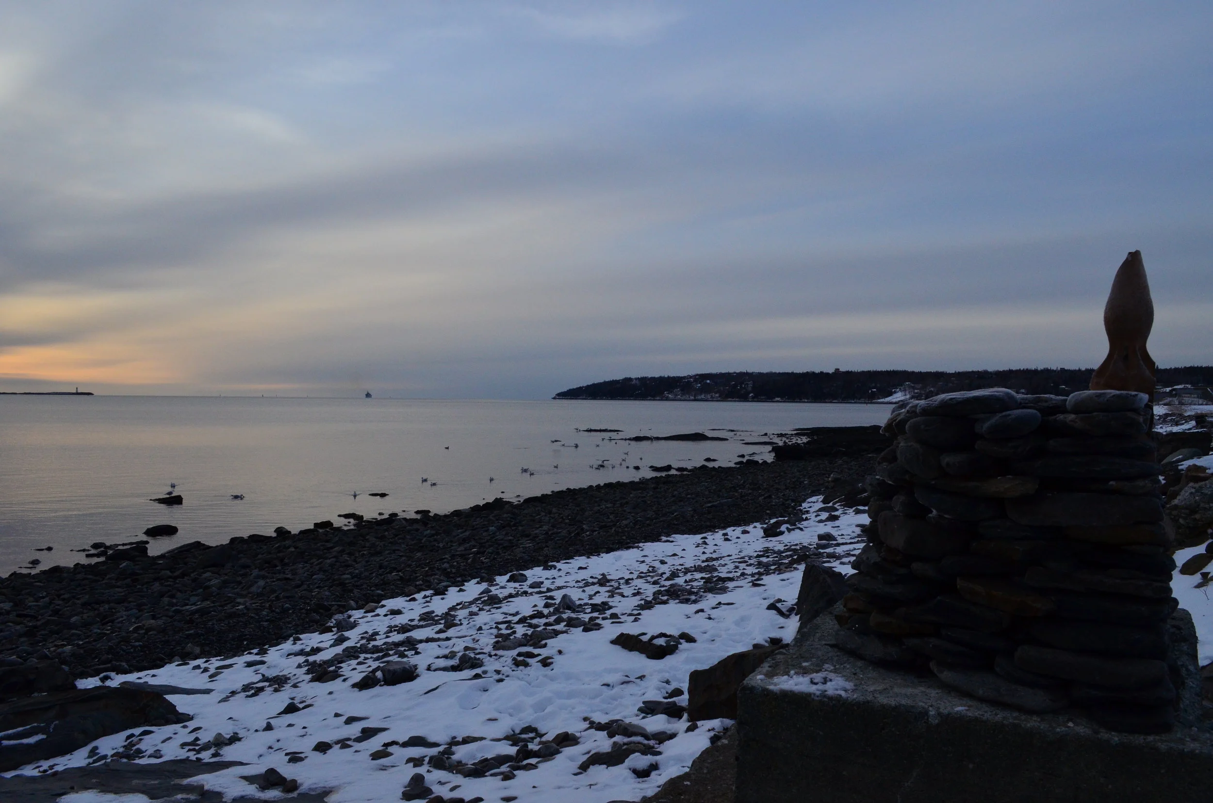 DSC_1006.JPG