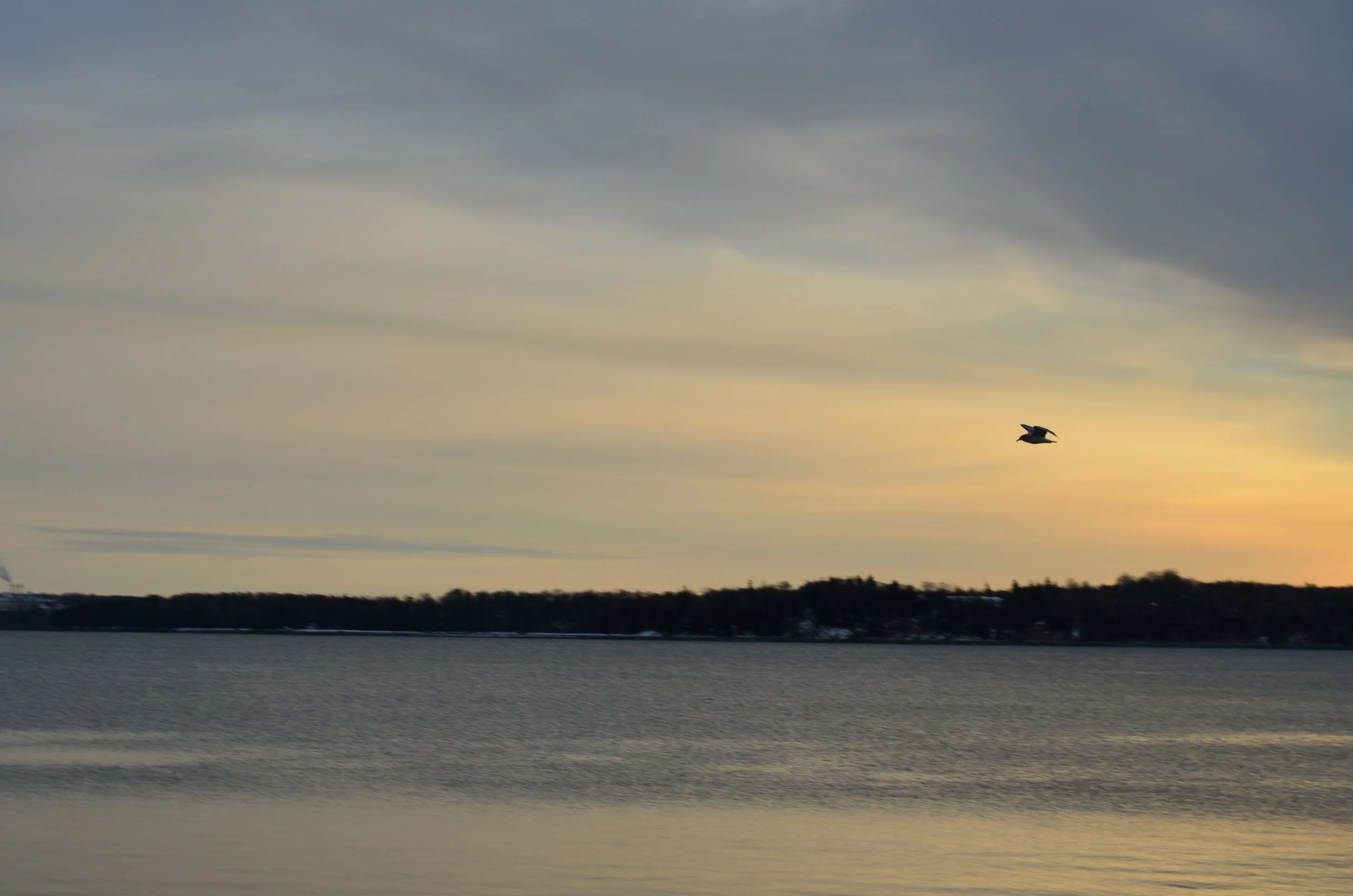 DSC_1035.JPG