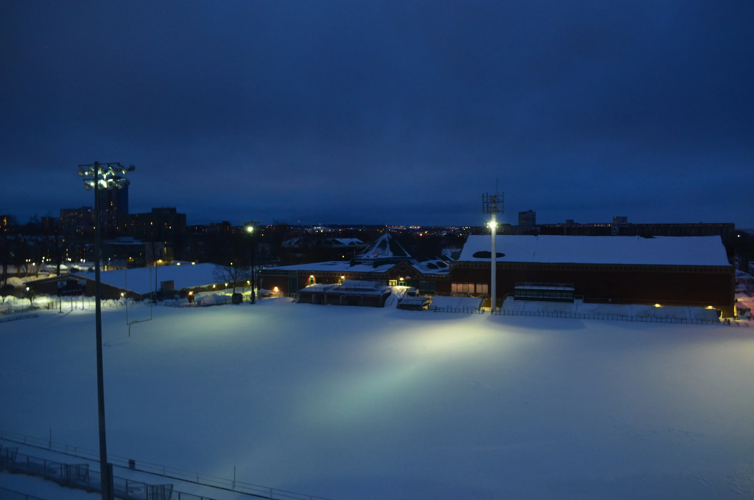 DSC_0226.JPG