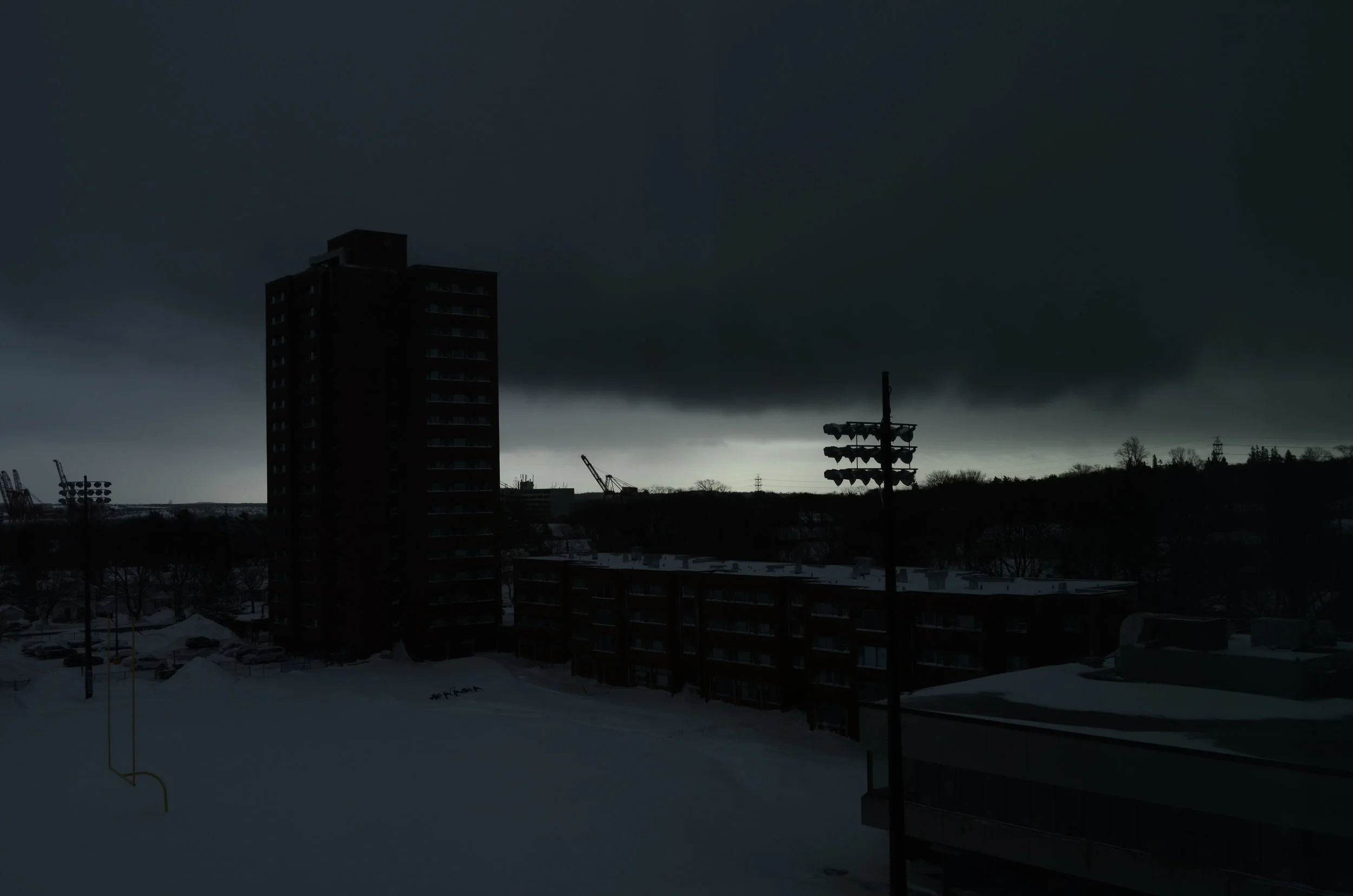 DSC_0242.JPG
