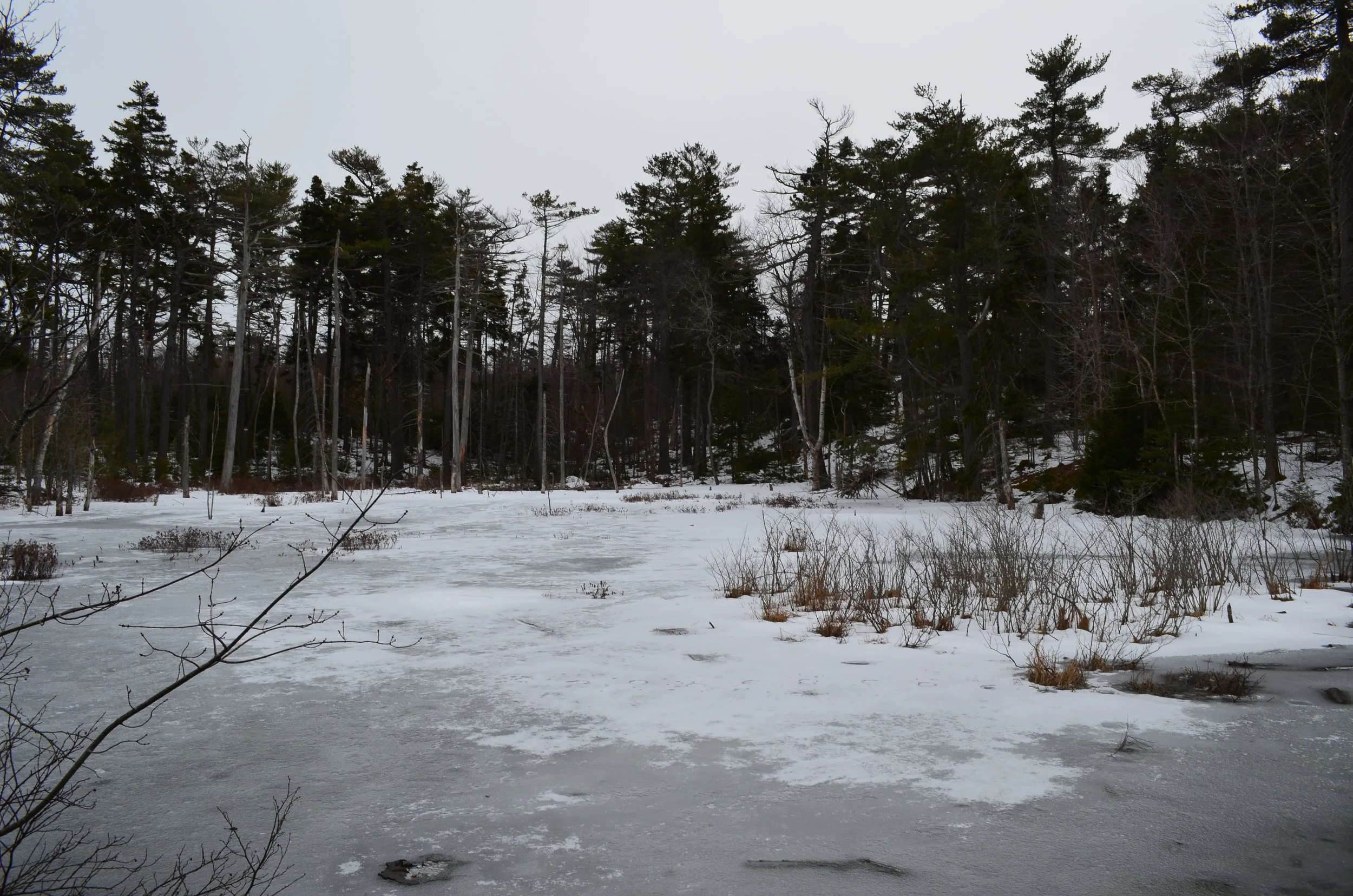 DSC_0015.JPG