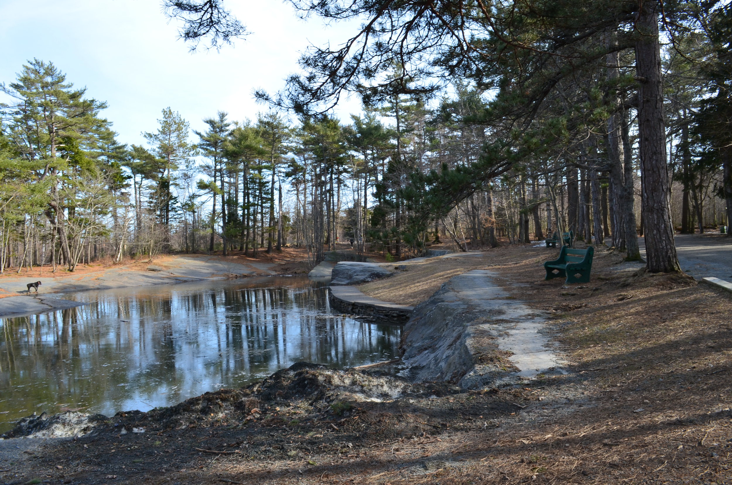 DSC_0732.JPG
