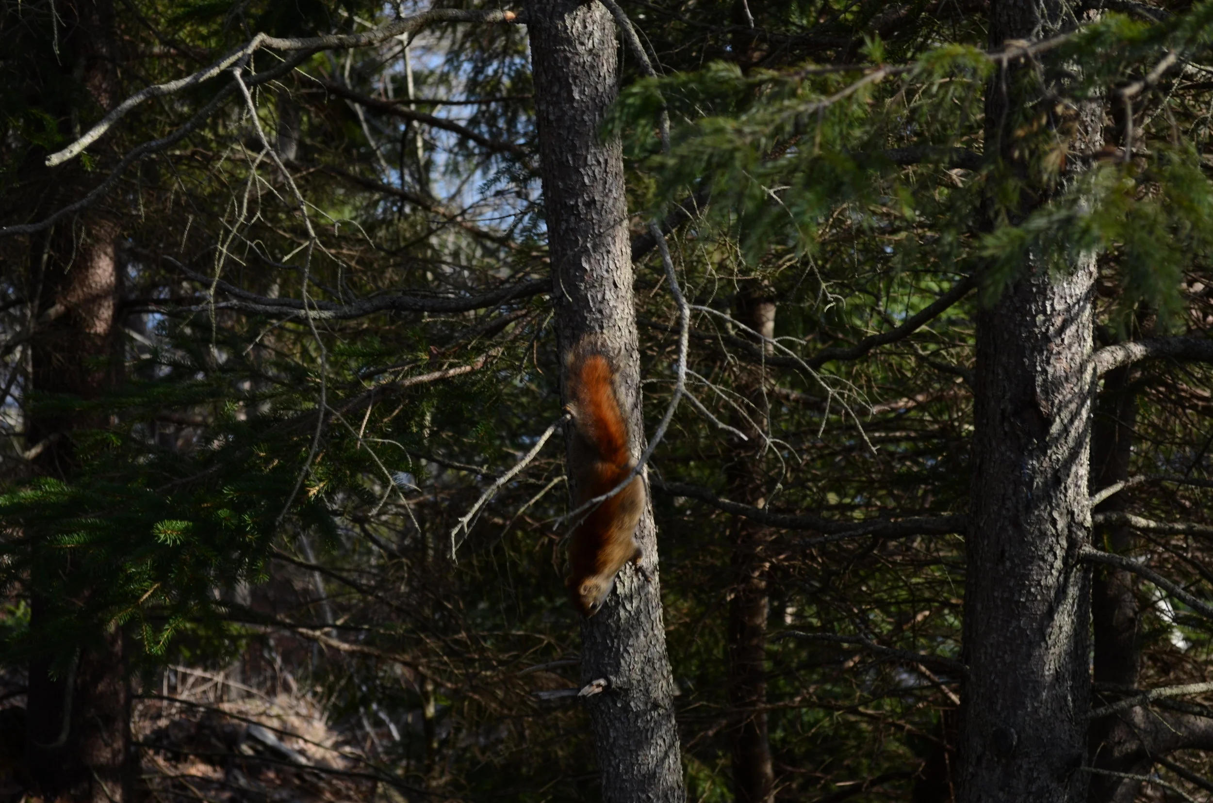 DSC_0790.JPG