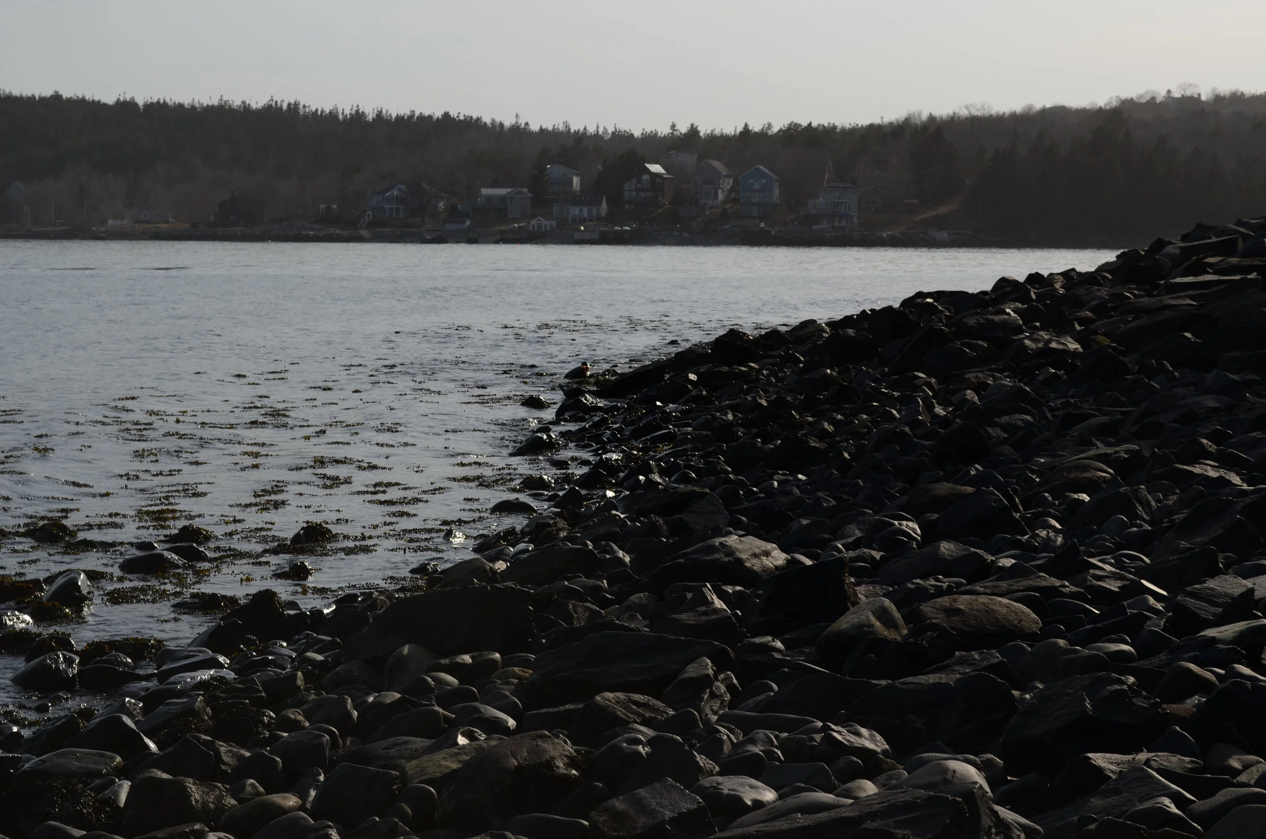 DSC_0829.JPG