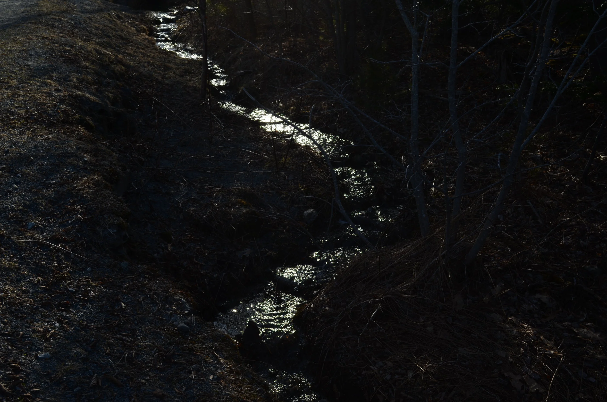 DSC_0849.JPG