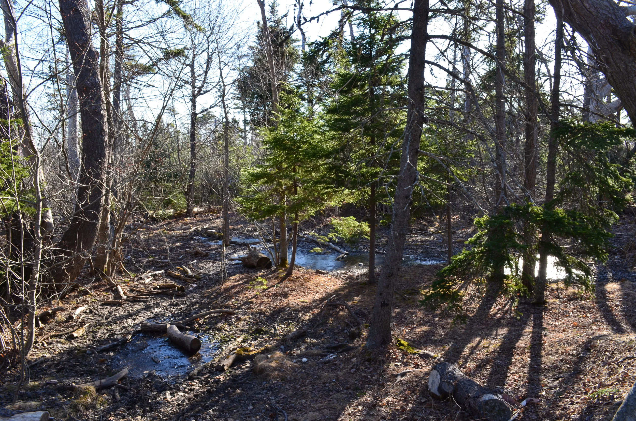 DSC_0896.JPG