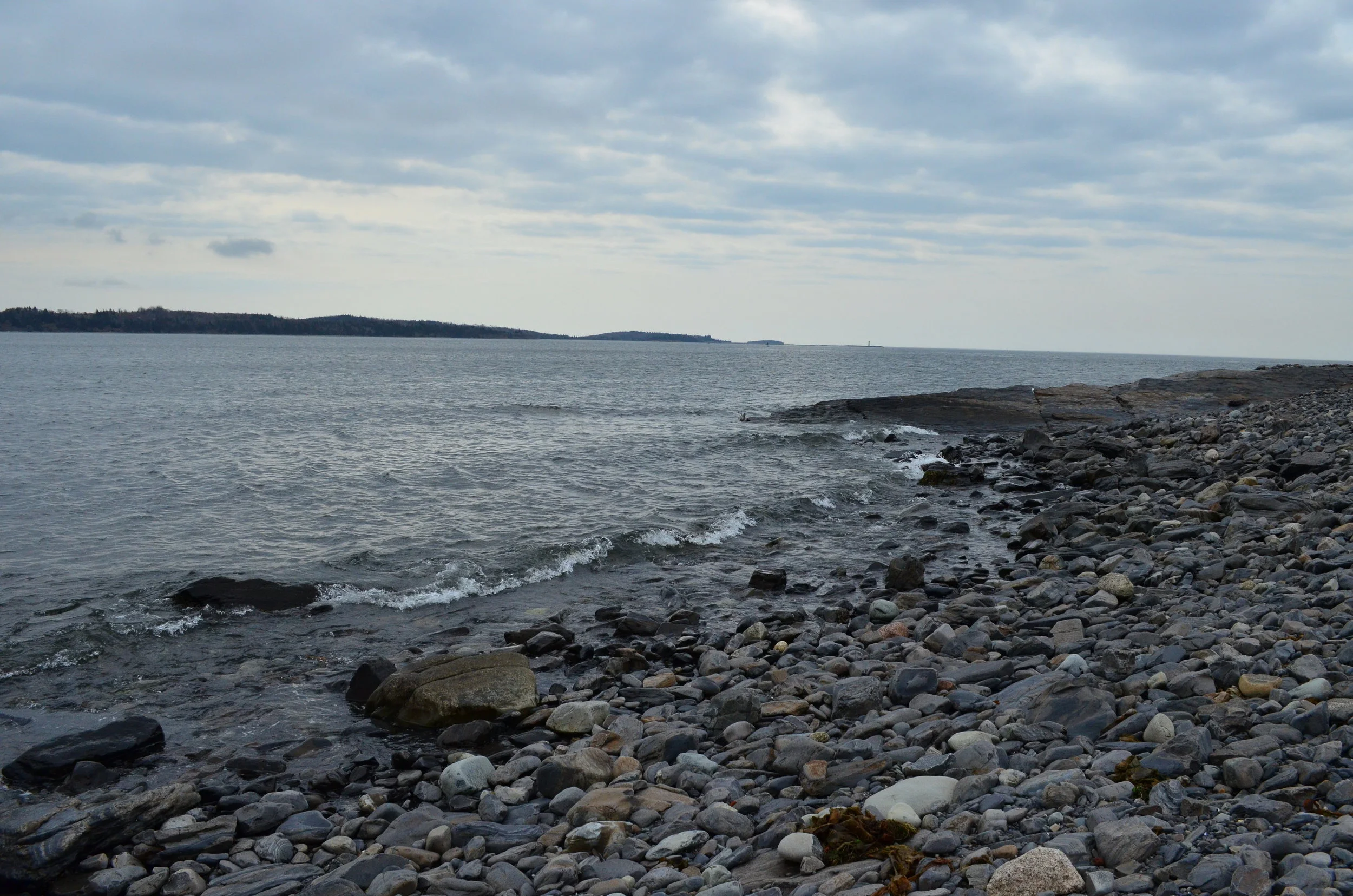 DSC_1262.JPG