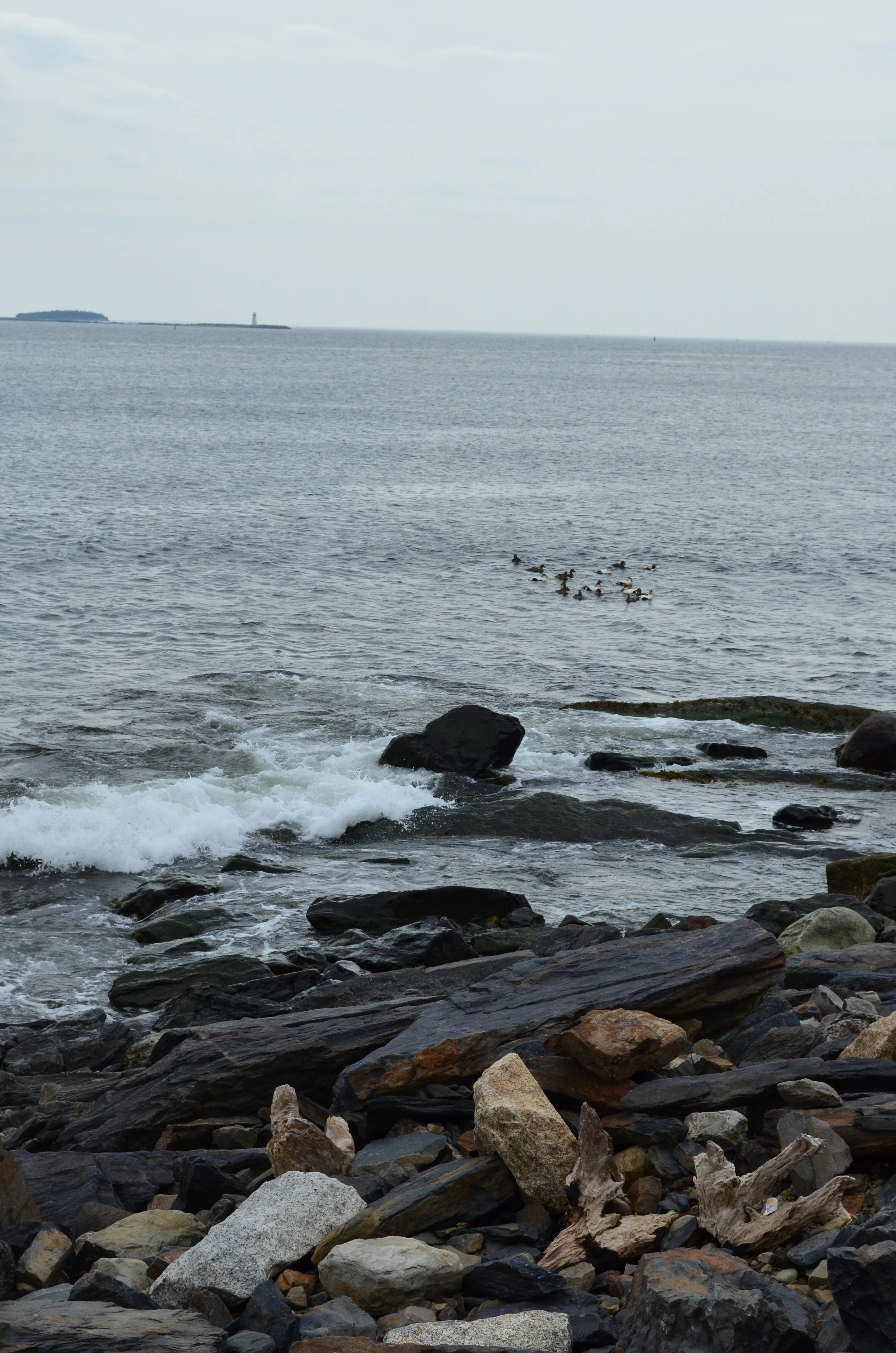 DSC_1298.JPG