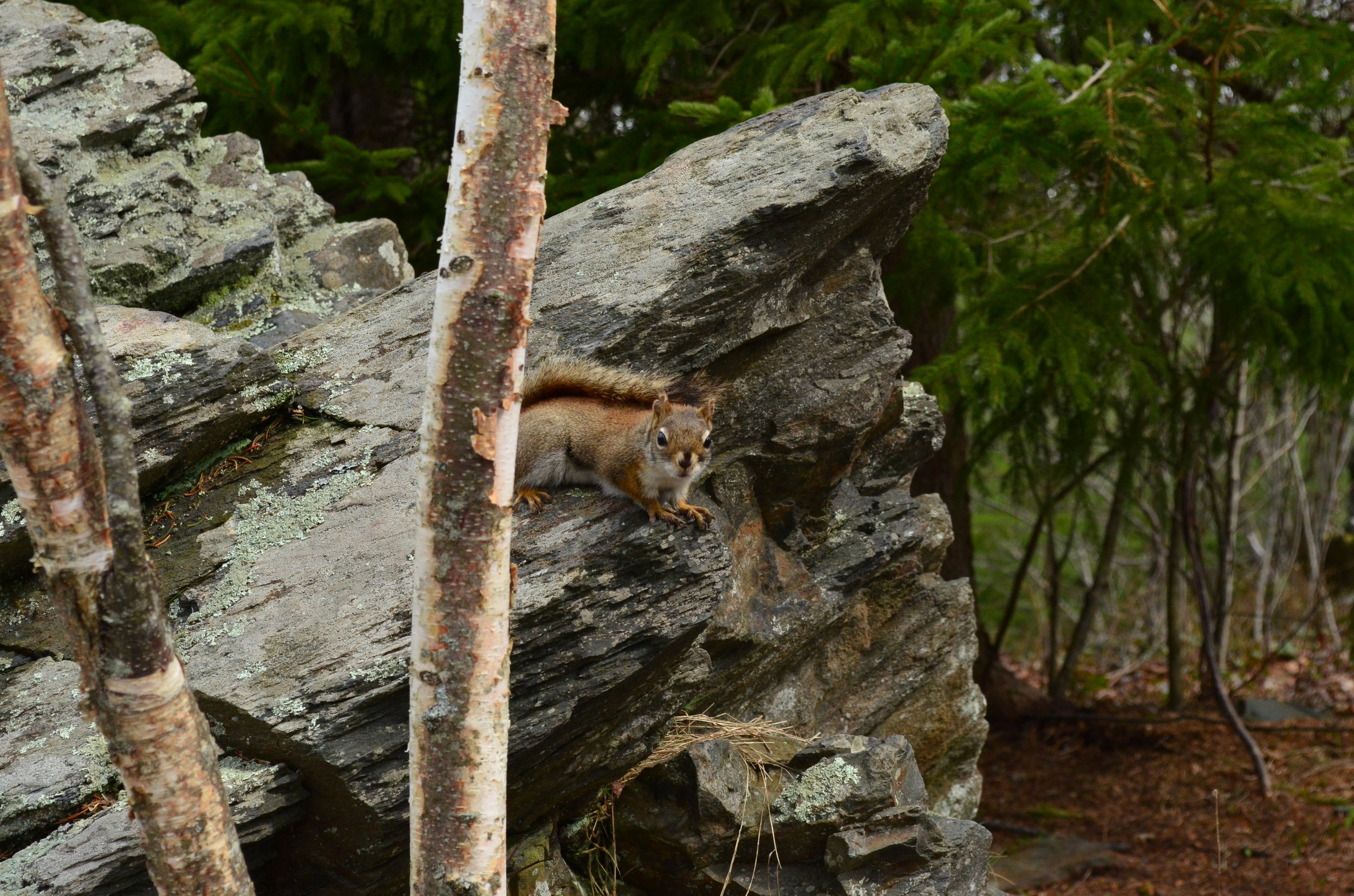 DSC_1366.JPG