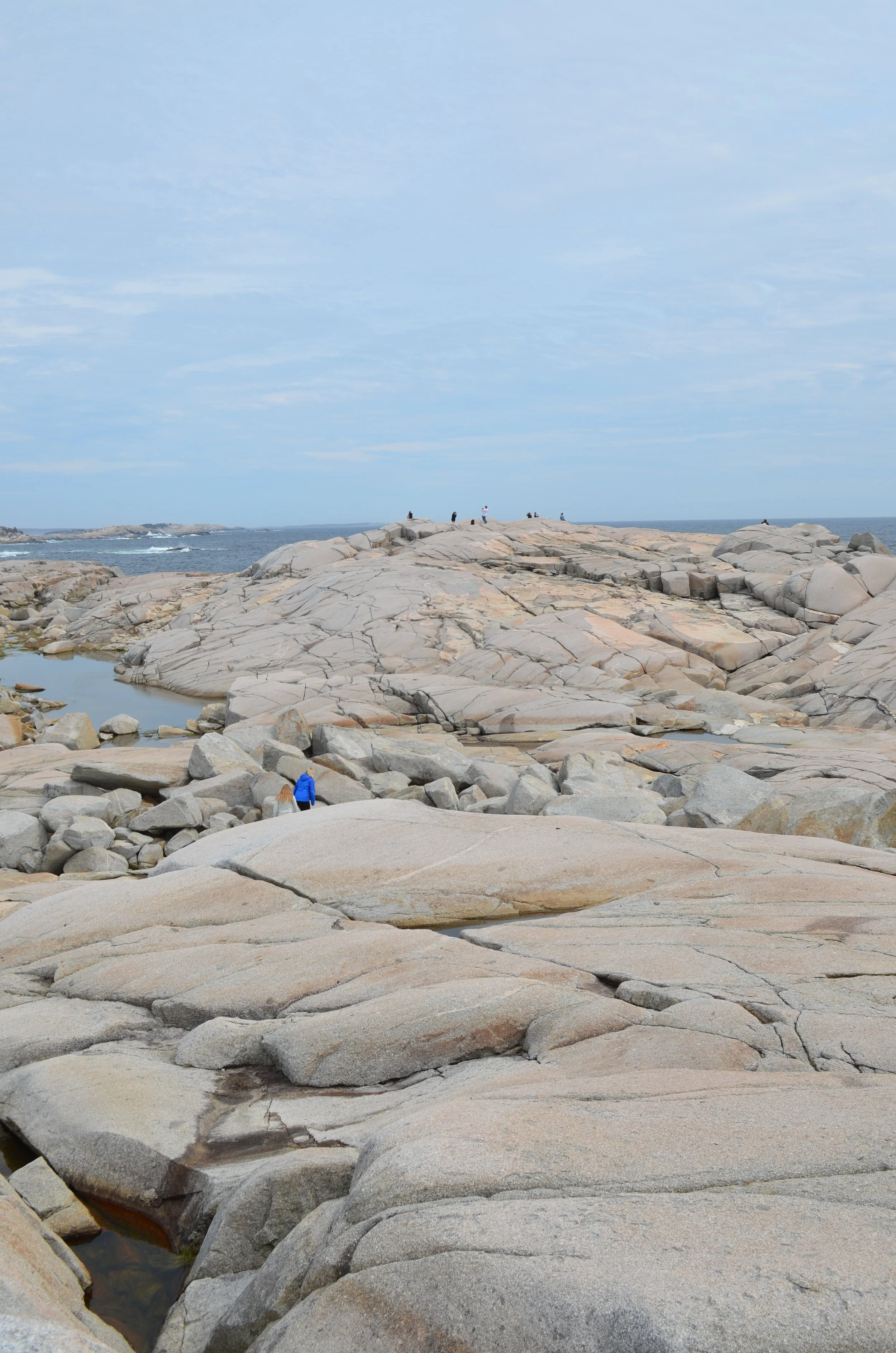 DSC_1558.JPG