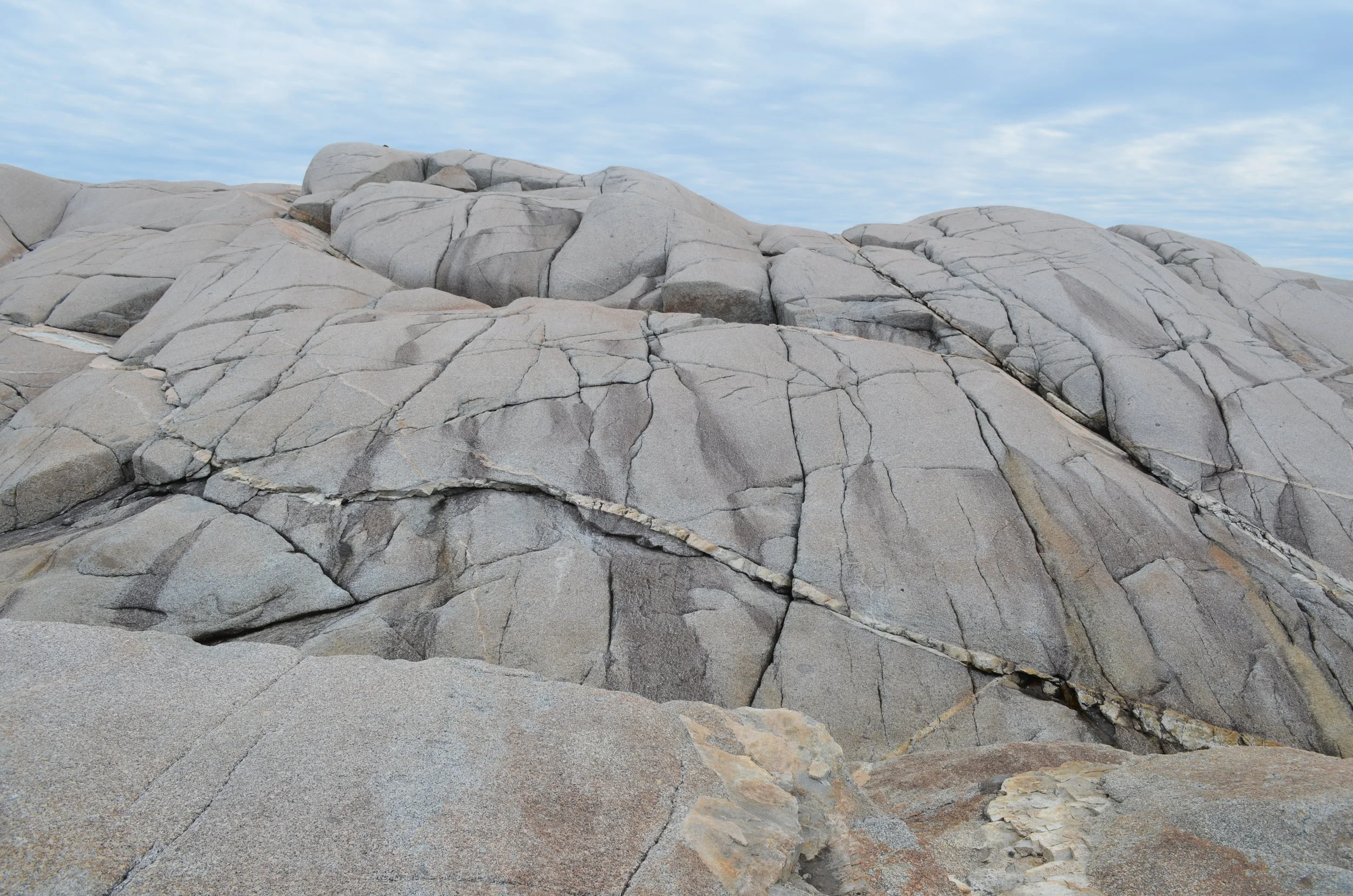 DSC_1627.JPG
