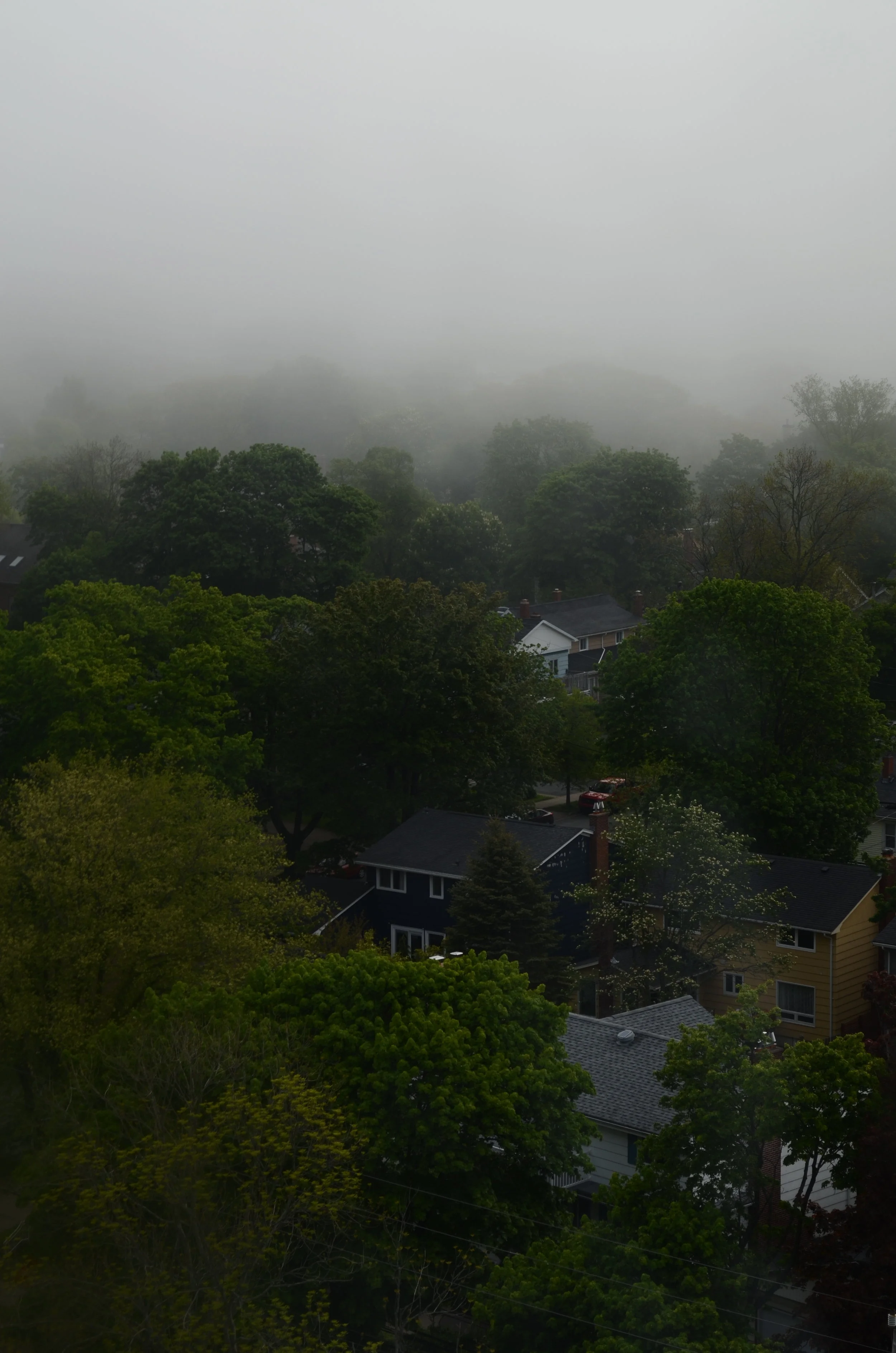 DSC_1758.JPG