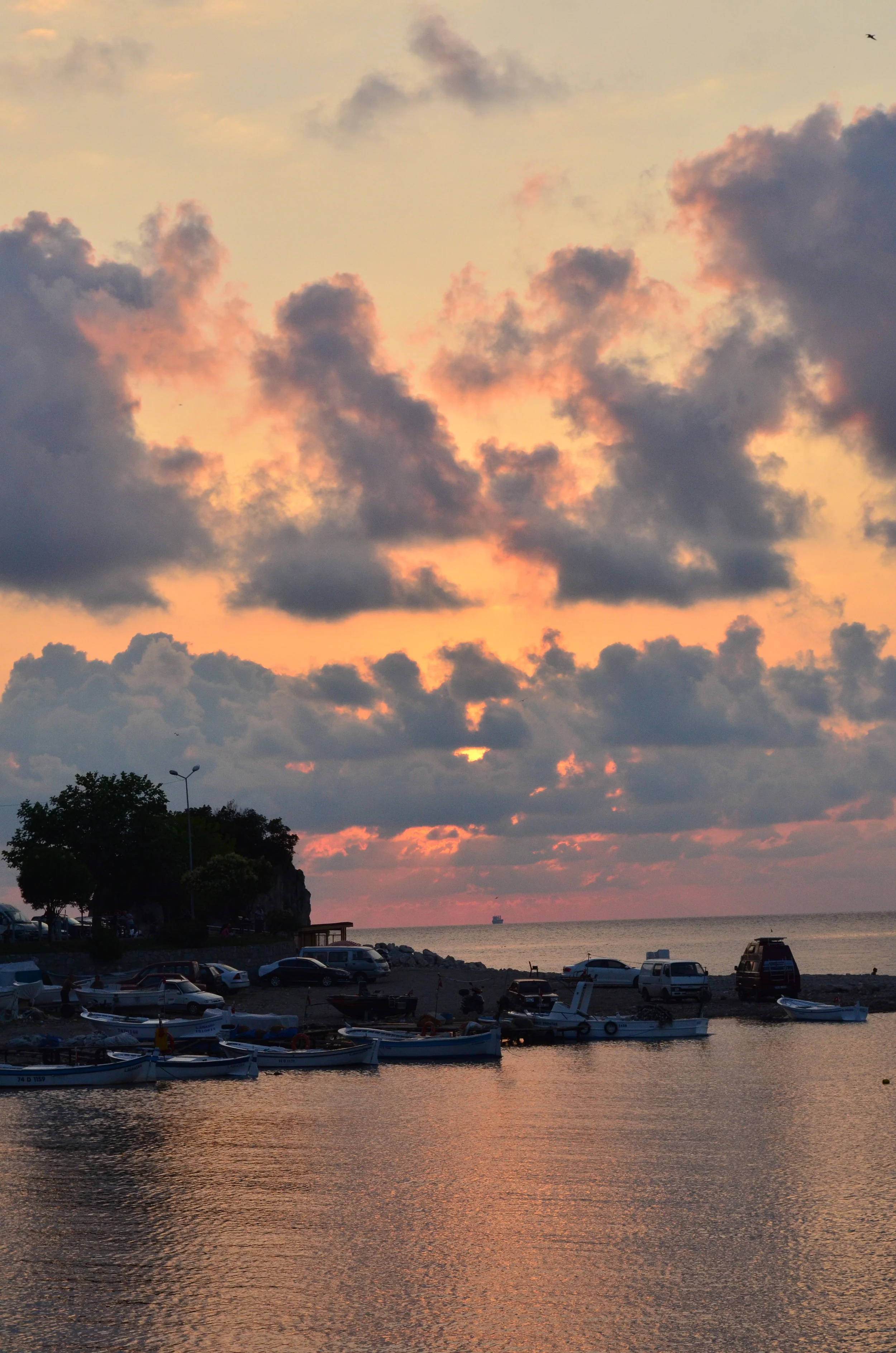 DSC_0552.JPG