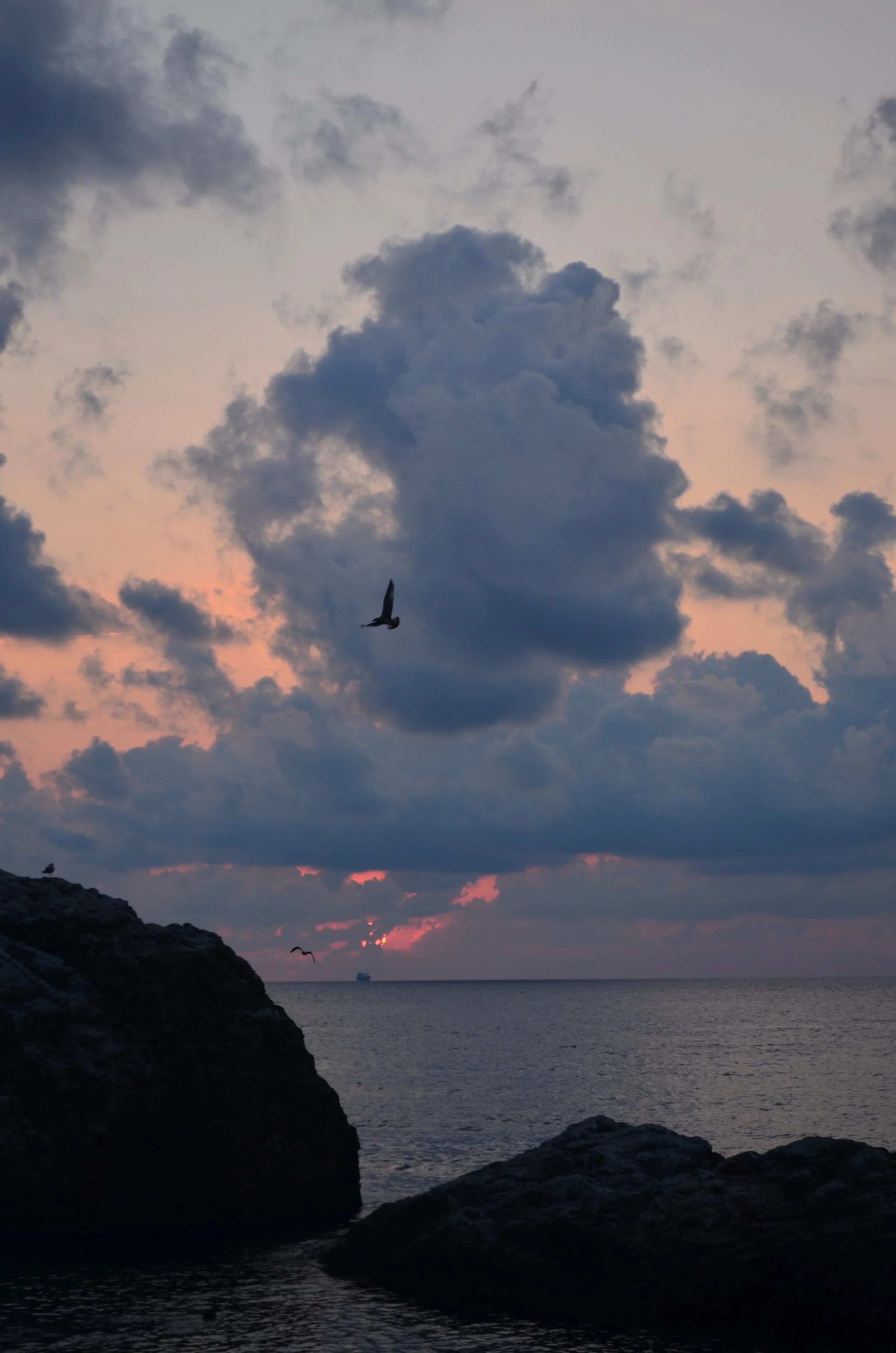 DSC_0592.JPG