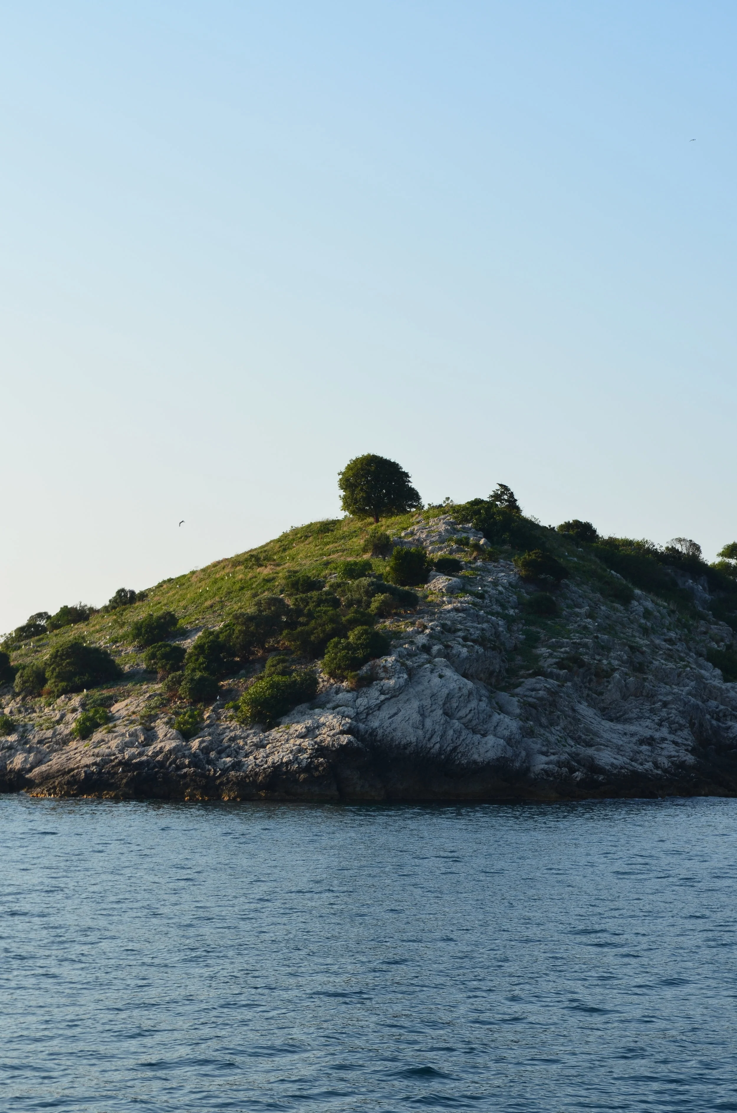 DSC_0726.JPG