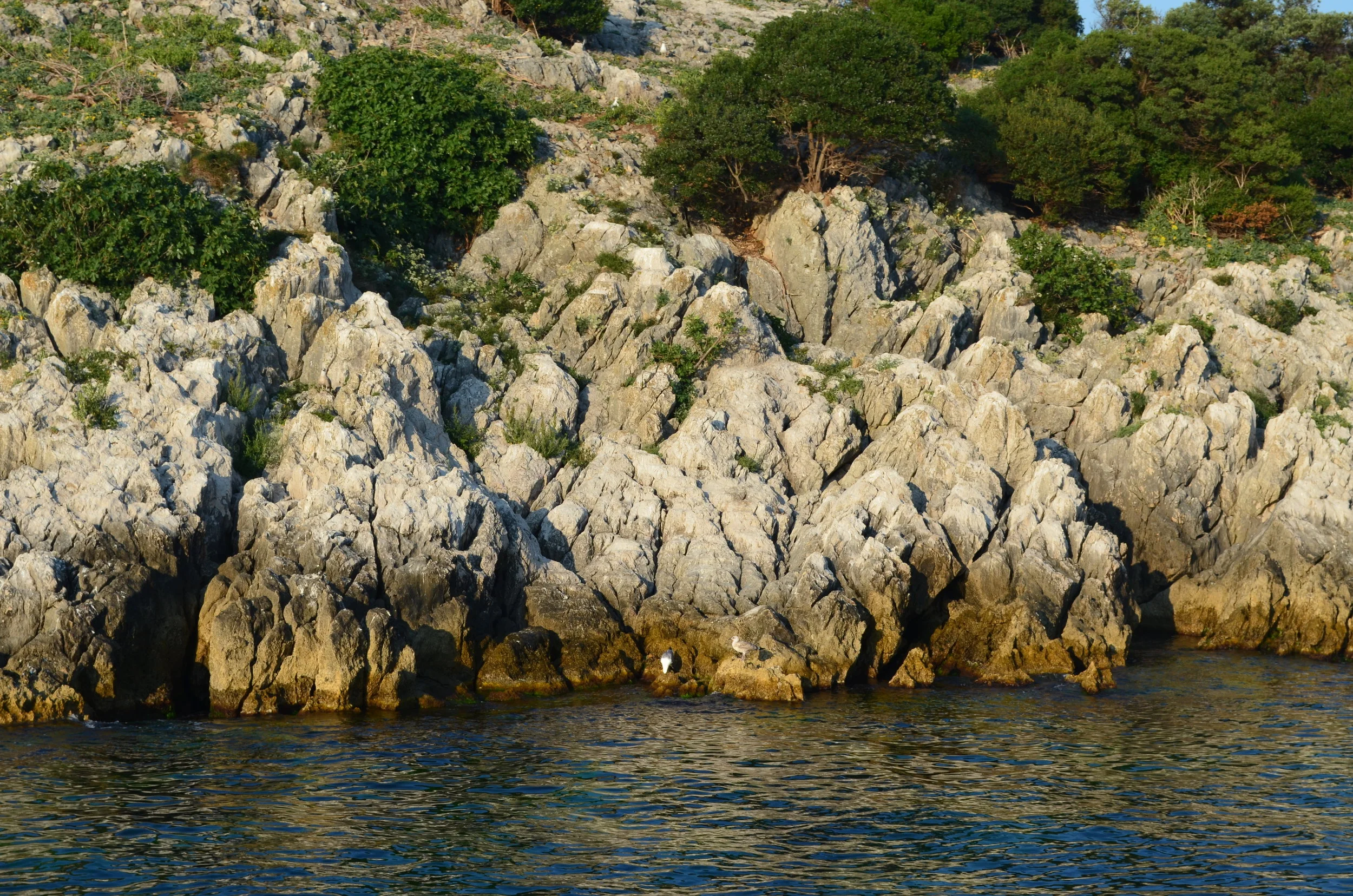 DSC_0869.JPG
