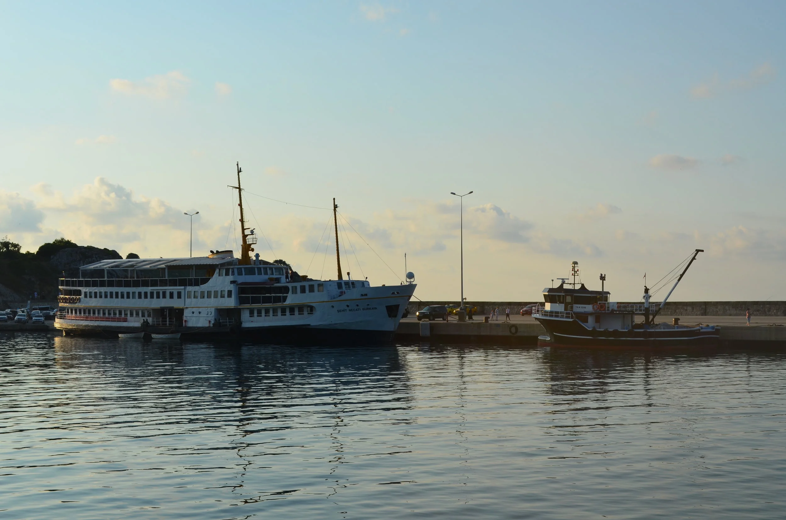DSC_0978.JPG