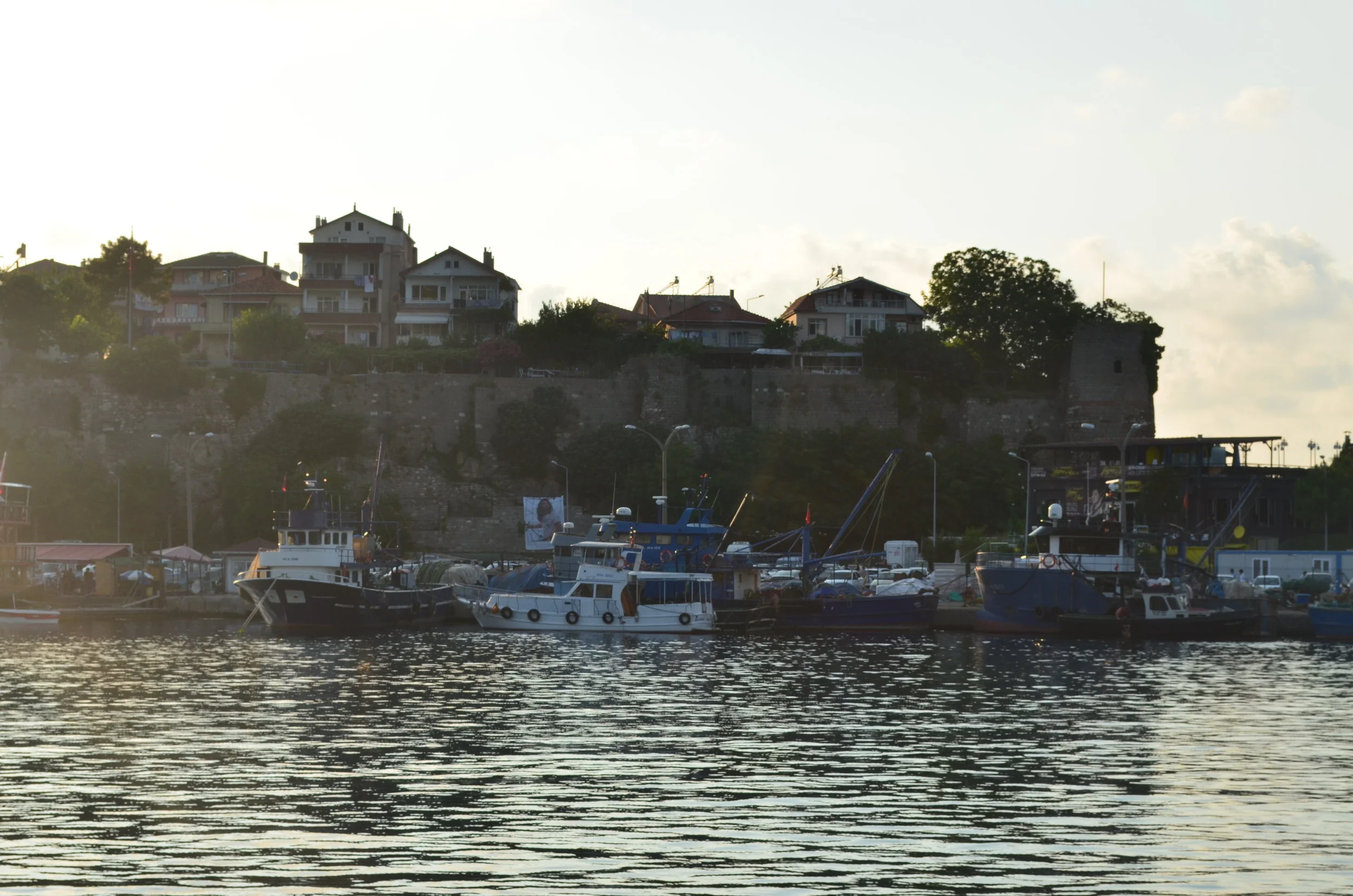 DSC_0980.JPG