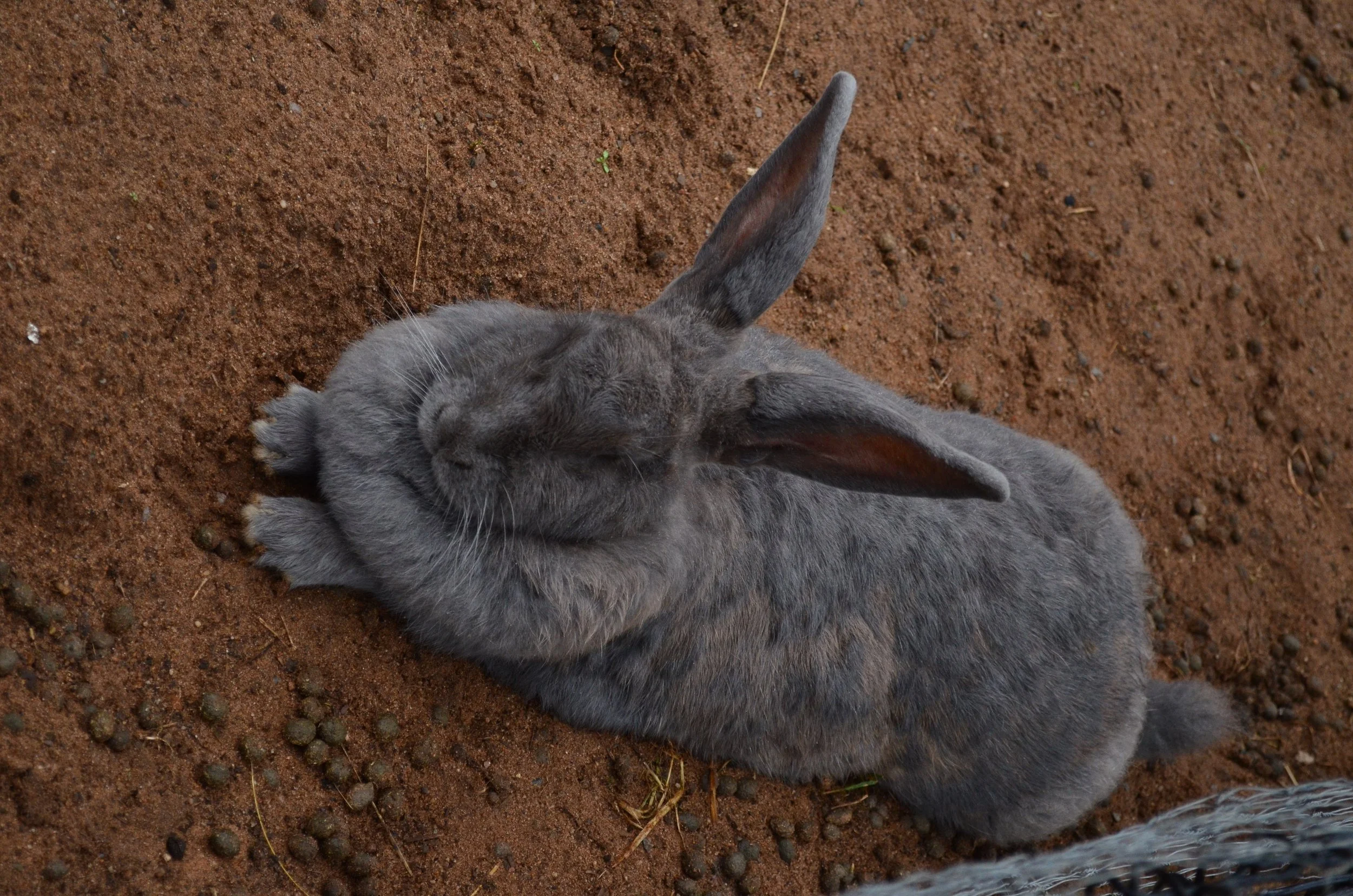 DSC_6178.JPG