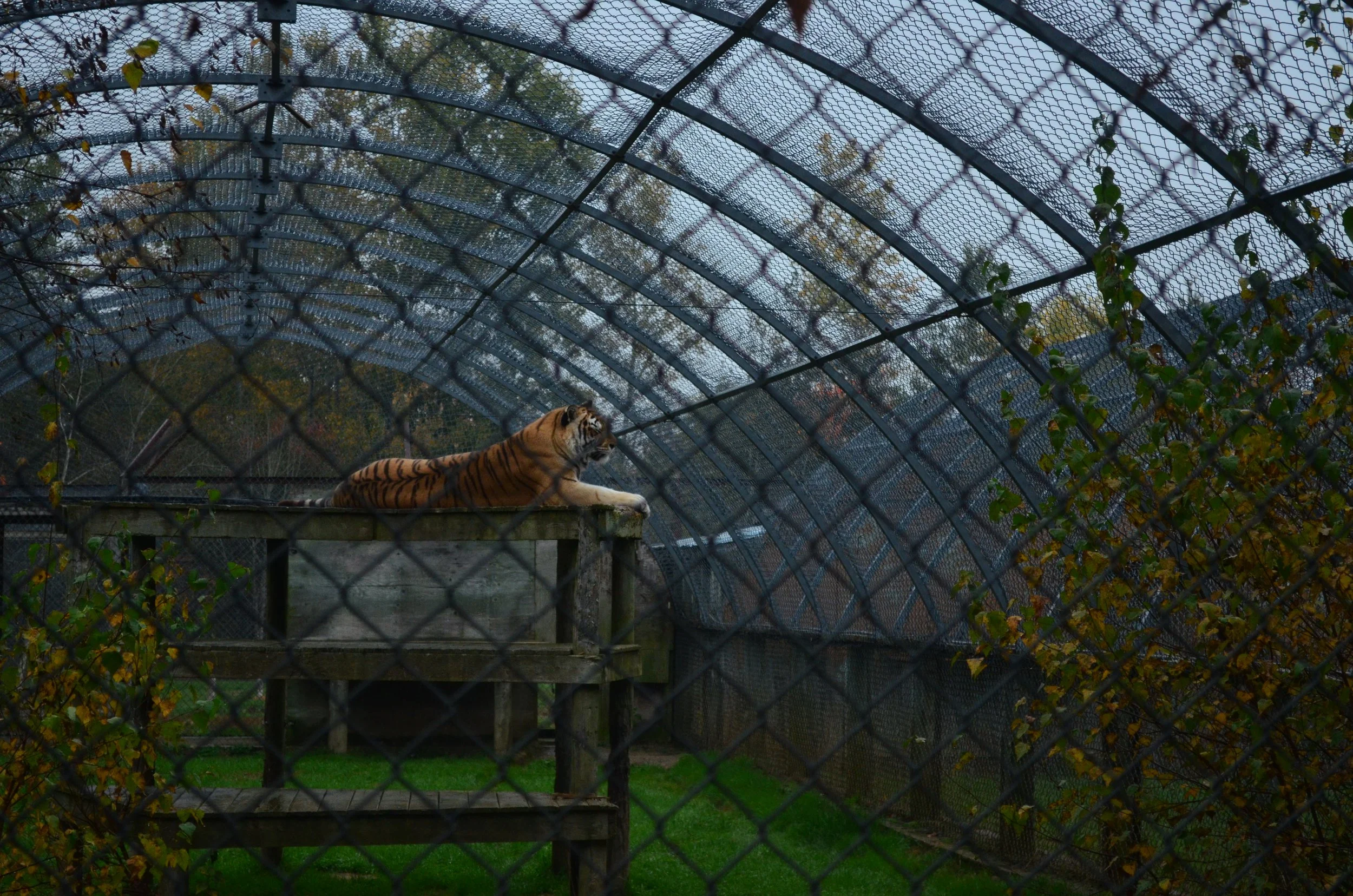DSC_6296.JPG