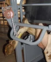 The rear leg lifter is operated independently from the rear gate for extra stability. The rear gate is also adjustable for a wide range of animal sizes.