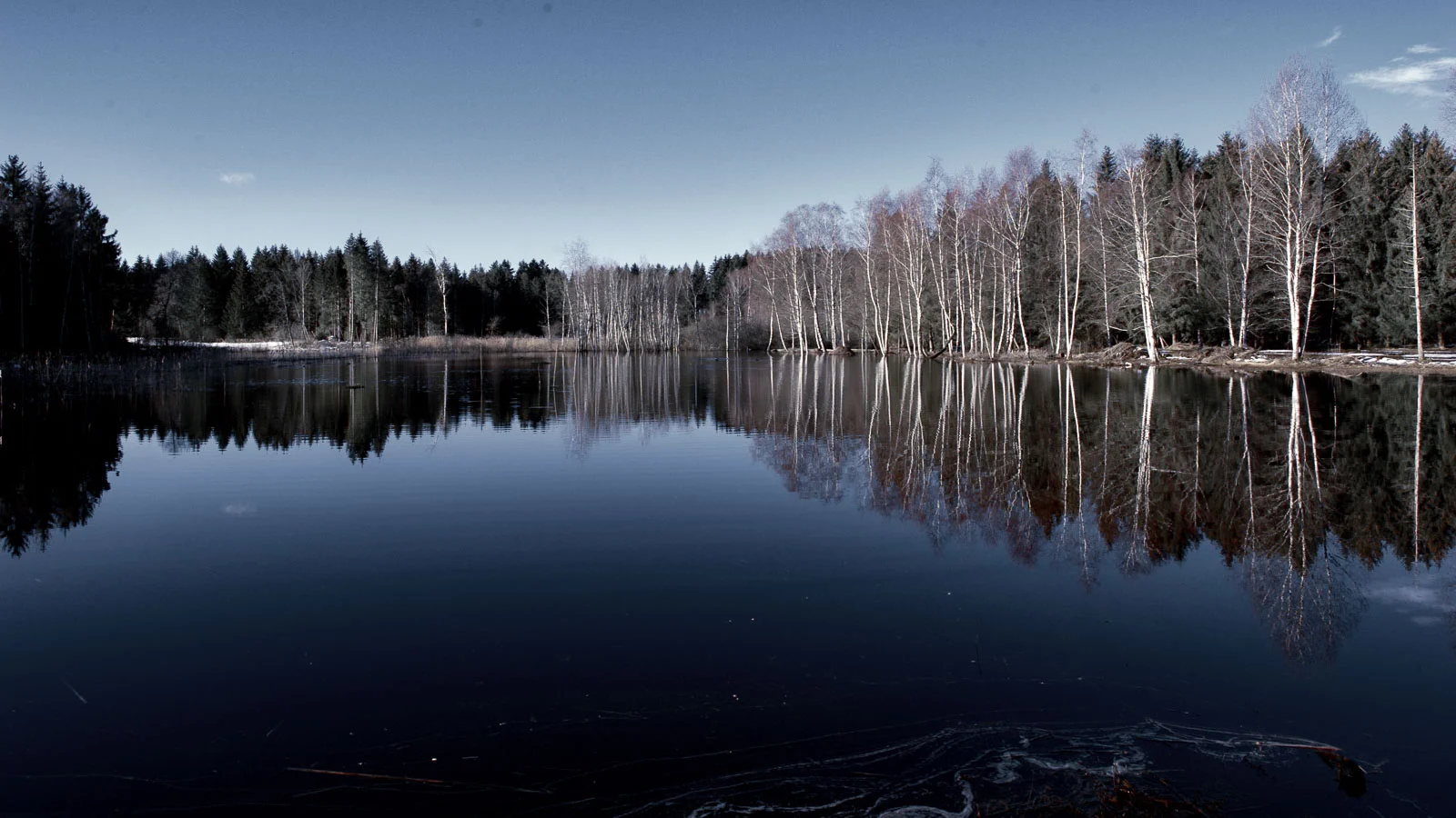 DSC_5378c.jpg