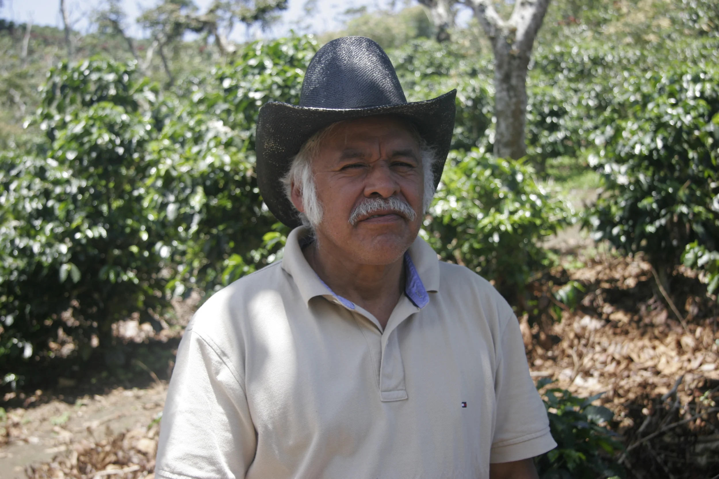 Farm Manager.JPG