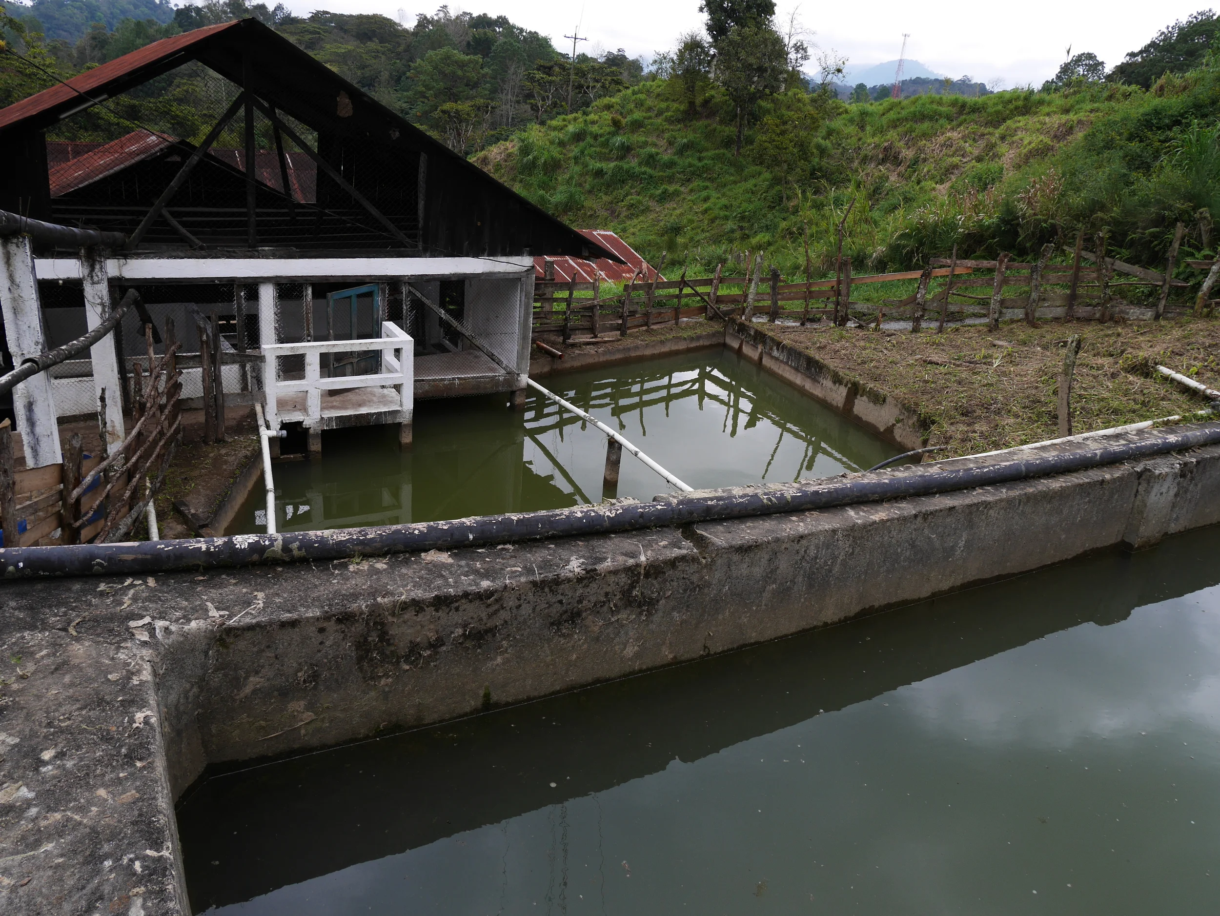 Wet Mill Santa Isabel.JPG