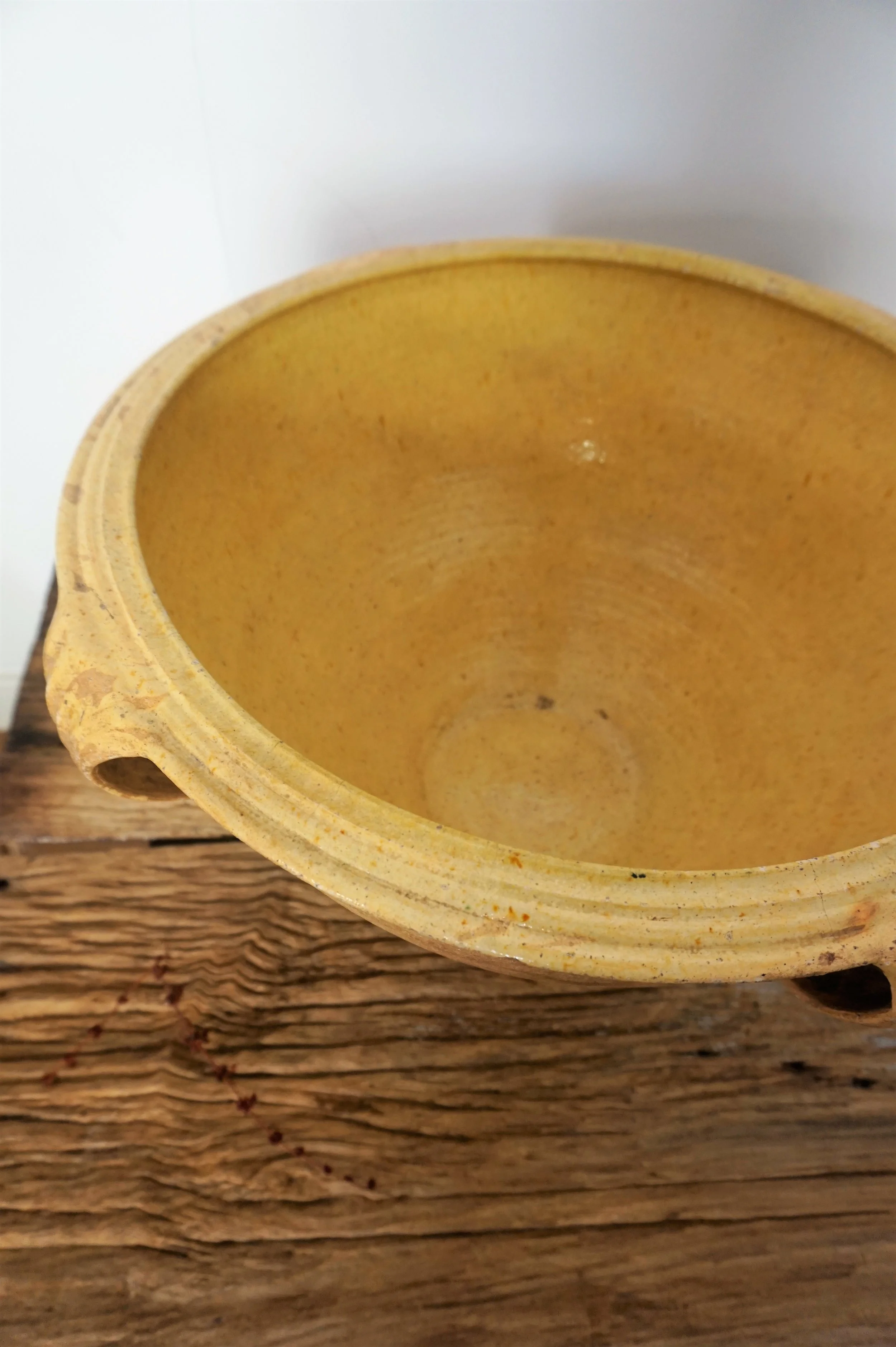 NIÑODAGUIA DETALLE.jpg