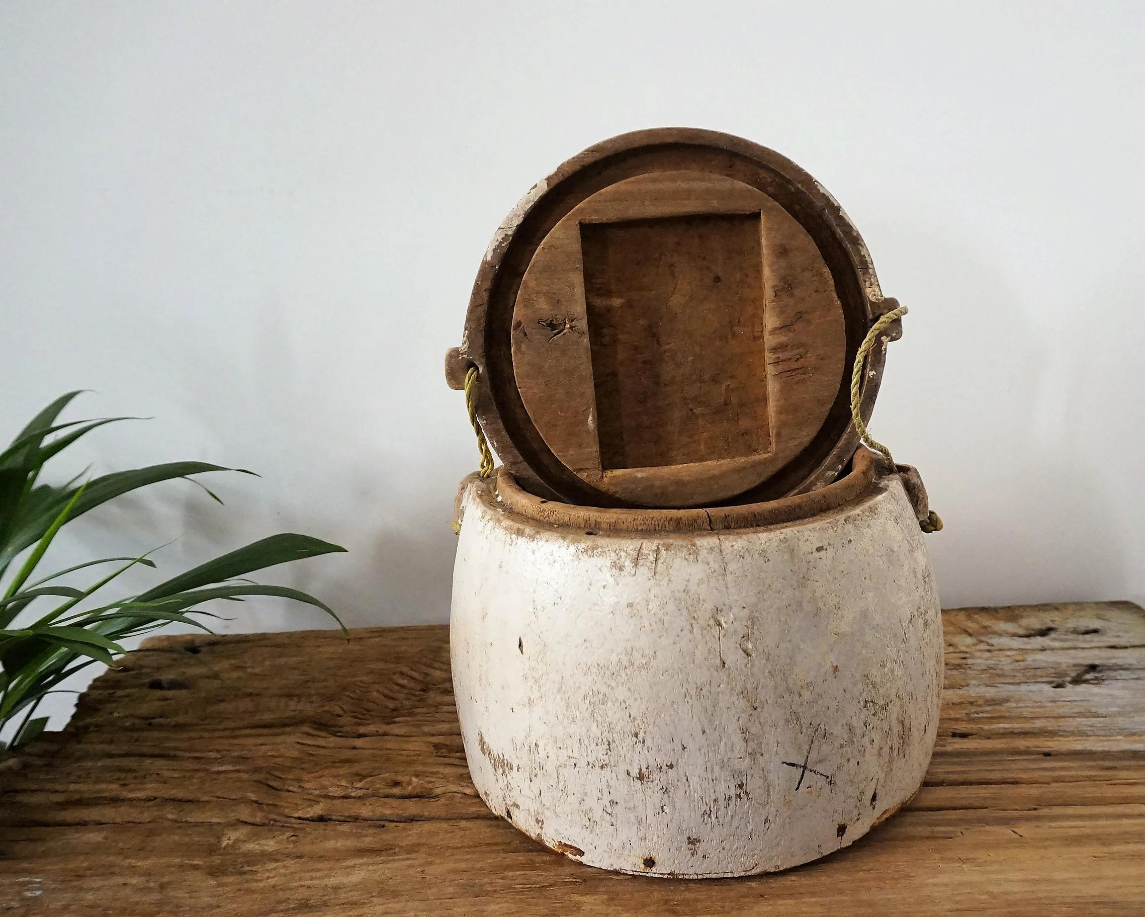 utensilio para peces 1.jpg