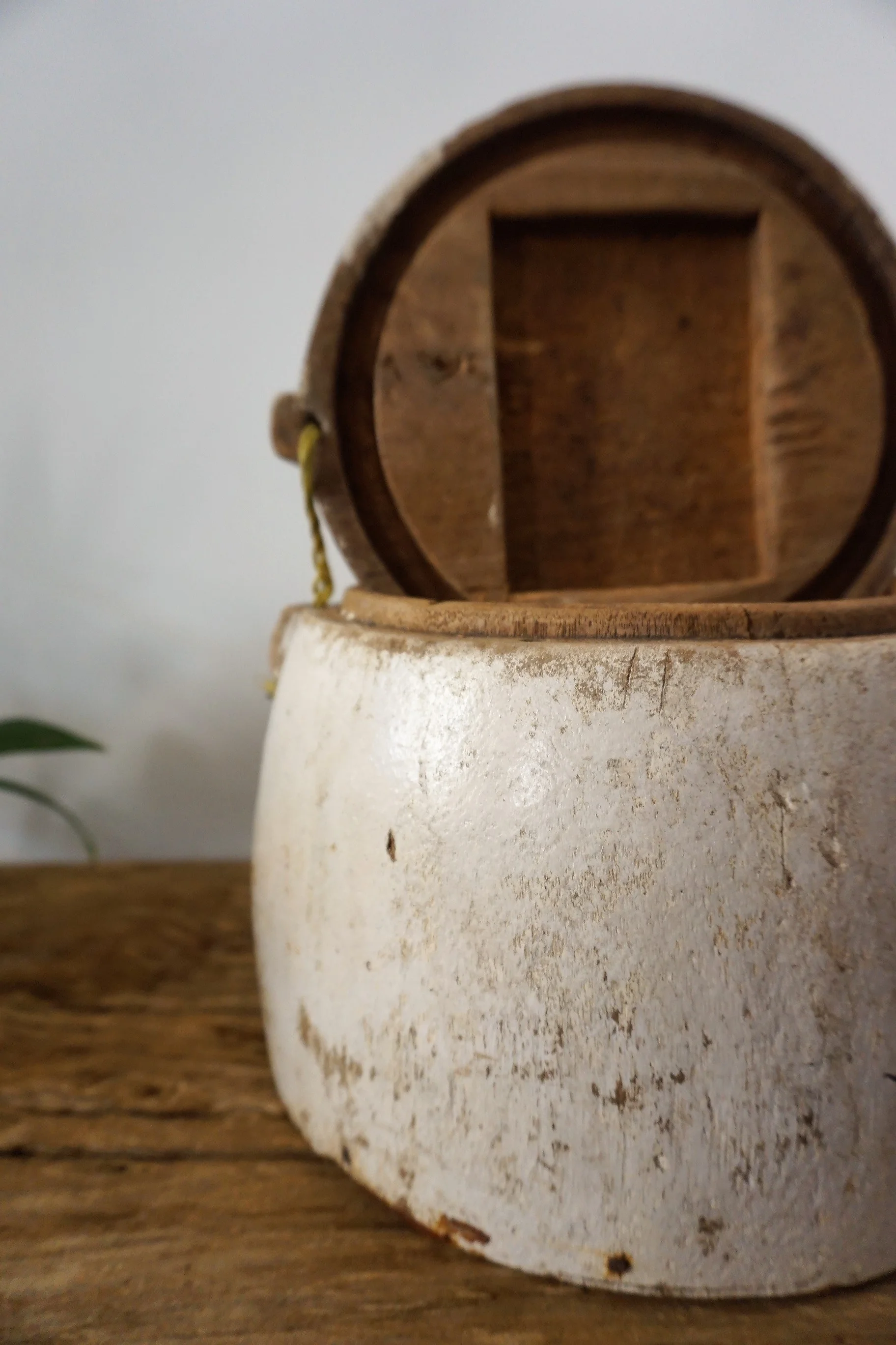 utensilio para peces 3.jpg